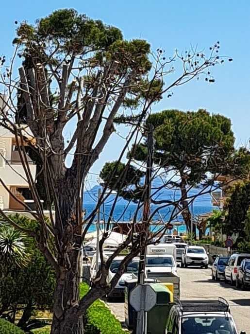 Exklusives Anwesen mit Großzügigem Außenbereich – Nur Wenige Schritte vom Strand Entfernt