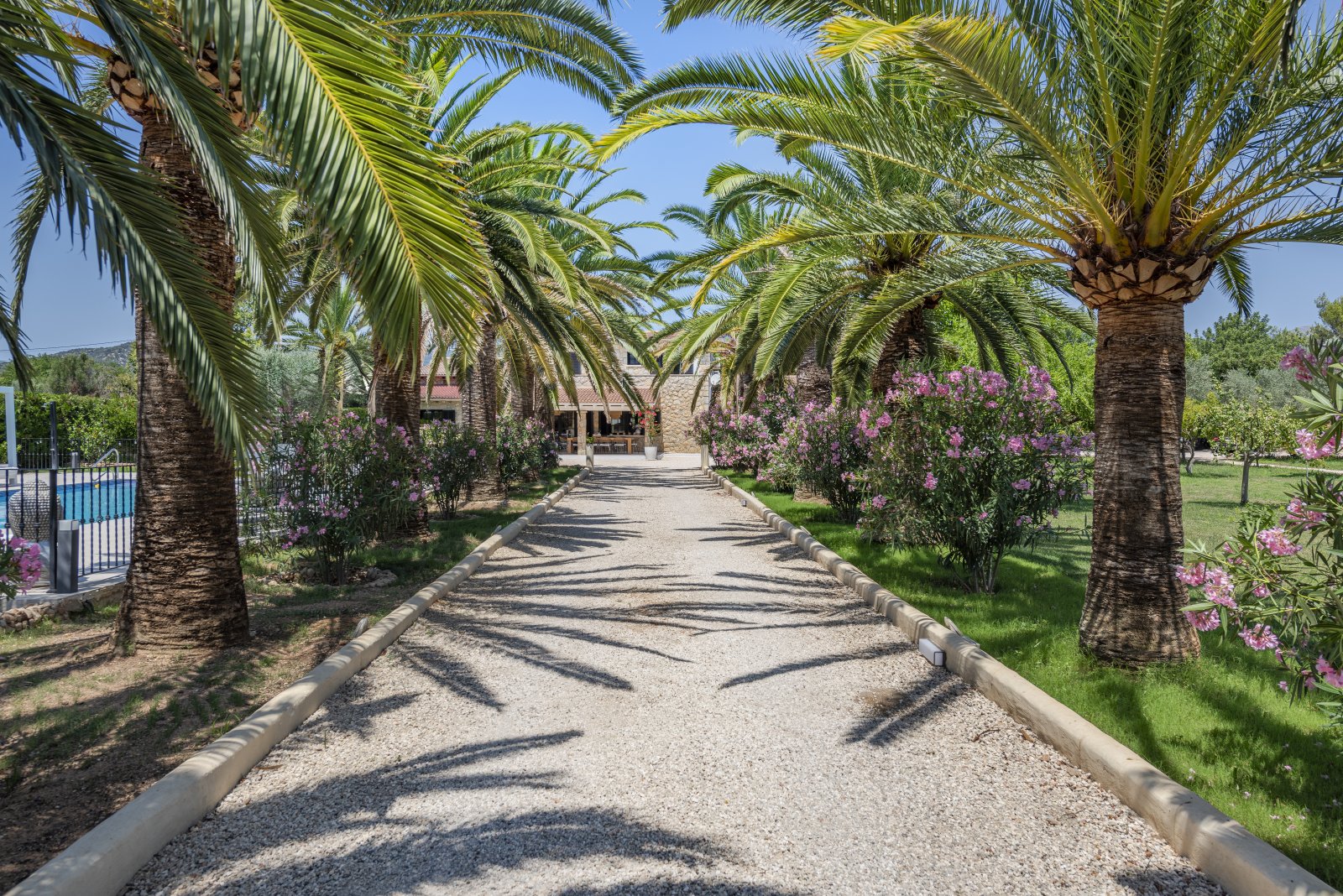 Luxusfinca unter Palmen mit Designerpool im Herzen Mallorcas