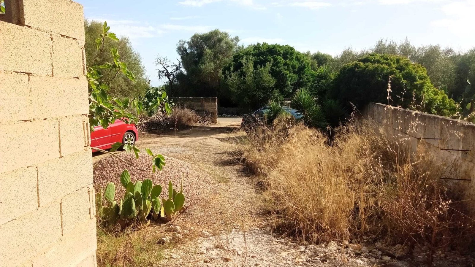 Ihr zukünftiges Traumhaus – individuell gestaltbar, nur 4 km vom Meer“
