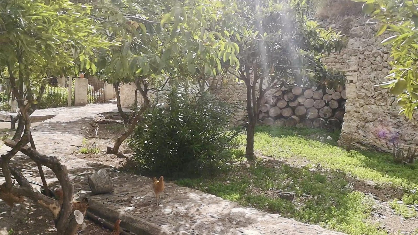 Ein Stück Mallorca mit Geschichte: Großes Stadthaus mit Parkgrundstück und Pool in Campanet