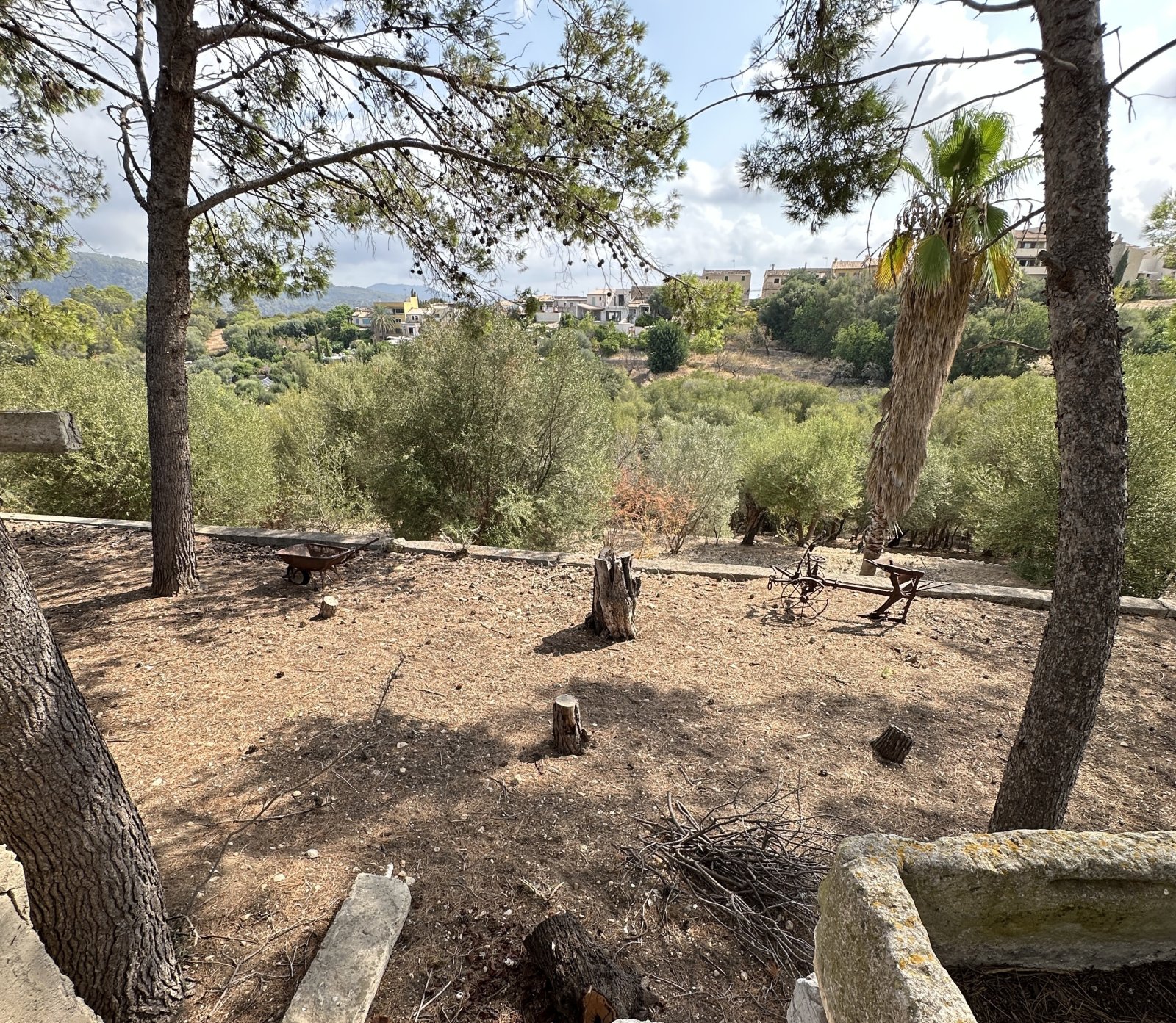 Ein Stück Mallorca mit Geschichte: Großes Stadthaus mit Parkgrundstück und Pool in Campanet