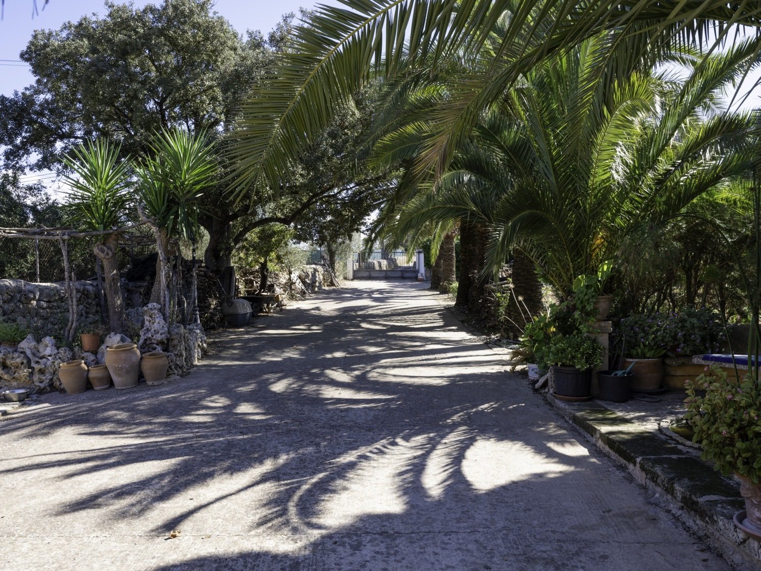Exklusive nur bei uns! Charmante Traum-Finca mit Pool