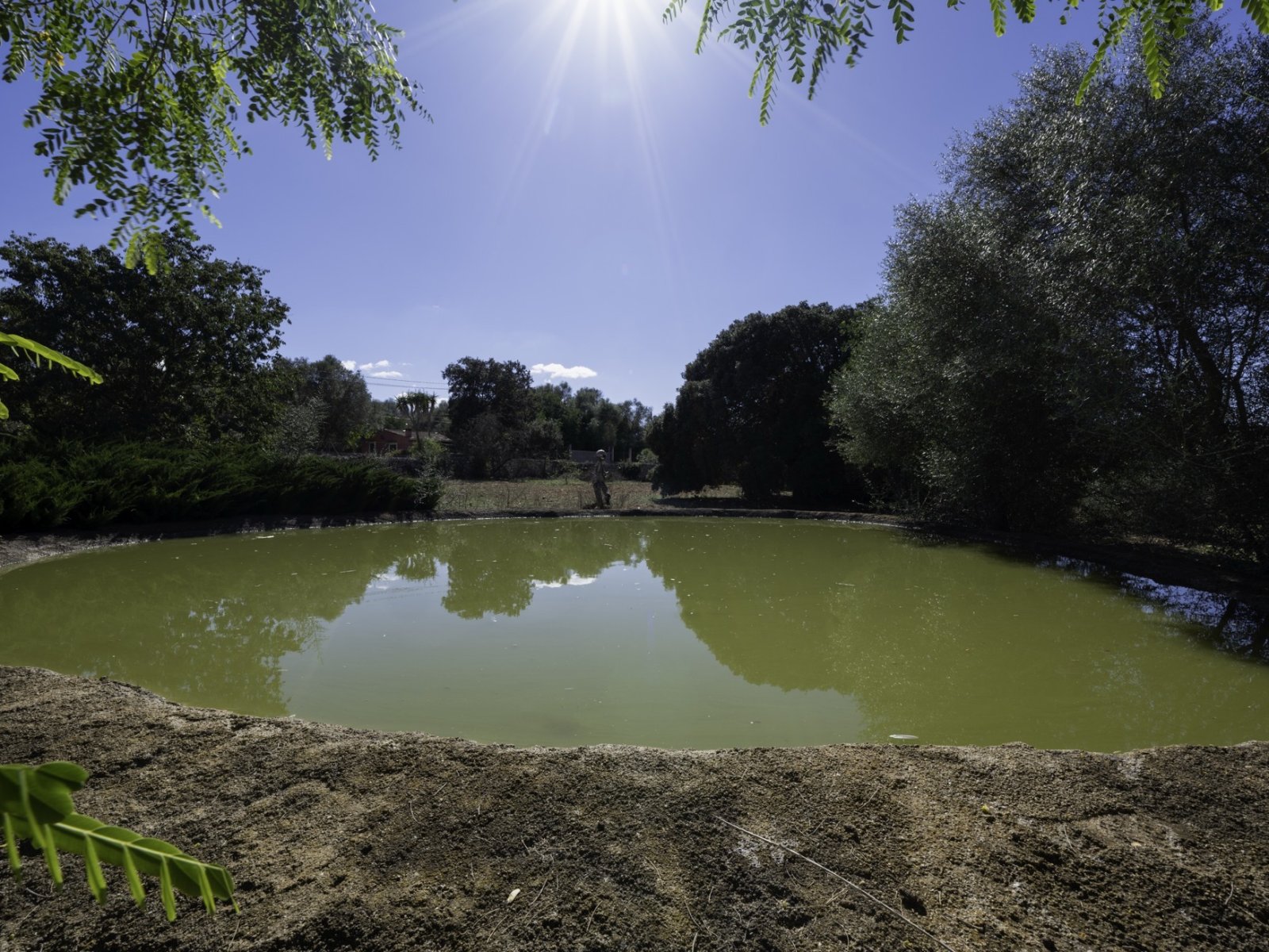 Exklusive nur bei uns! Charmante Traum-Finca mit Pool