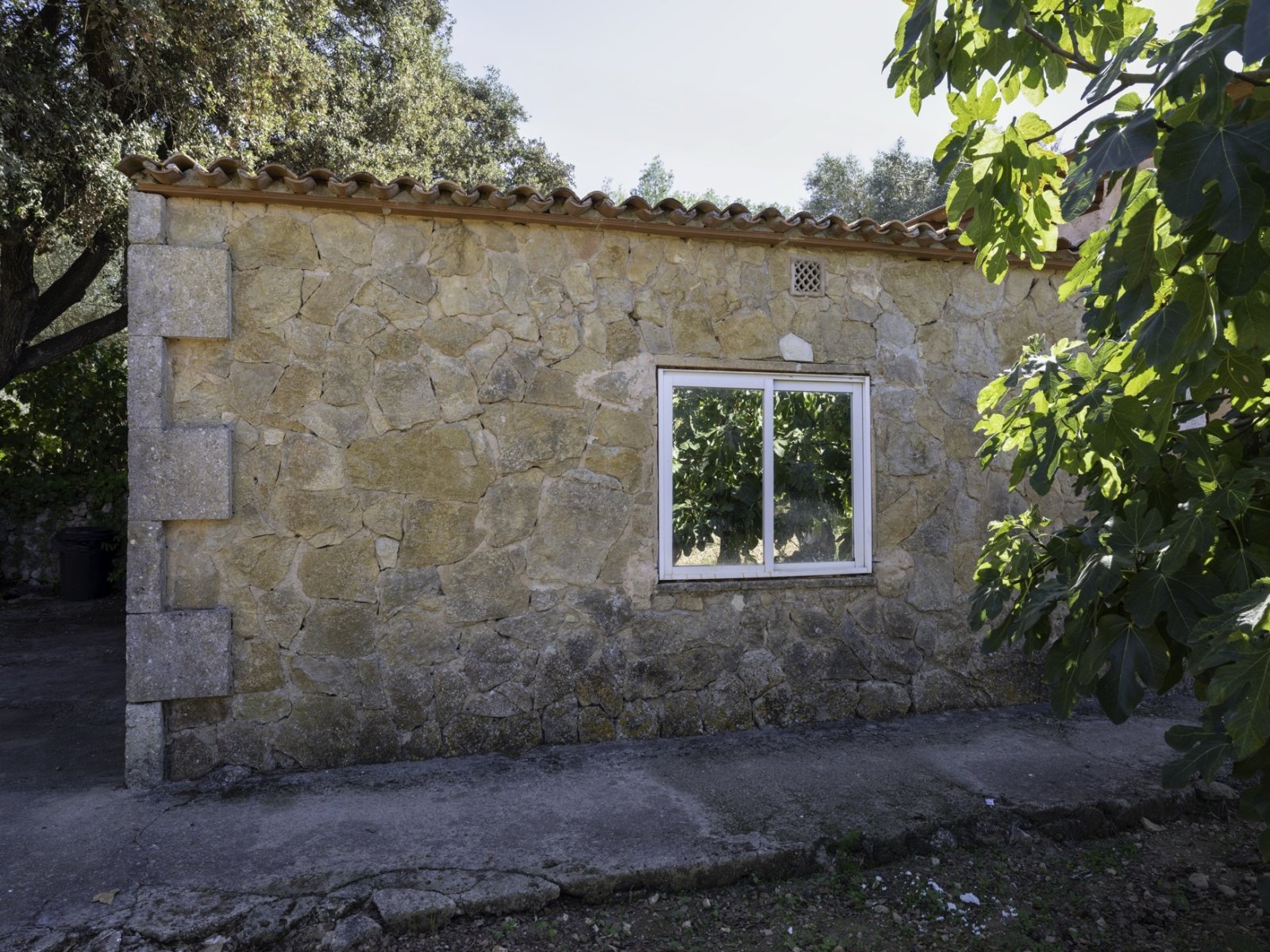 Exklusive nur bei uns! Charmante Traum-Finca mit Pool