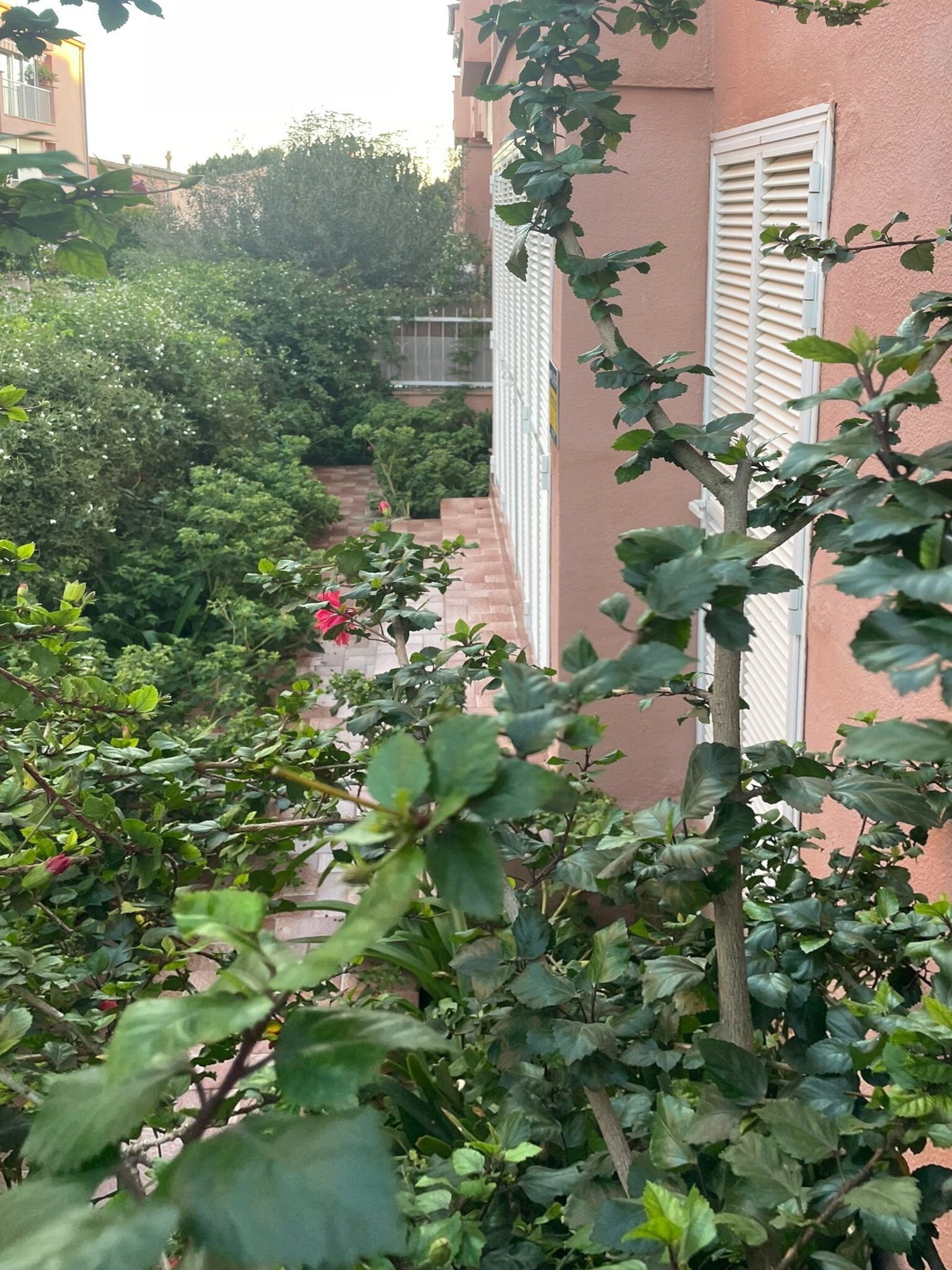 Erdgeschosswohnung mit großzügiger Terrasse und Gartenfläche