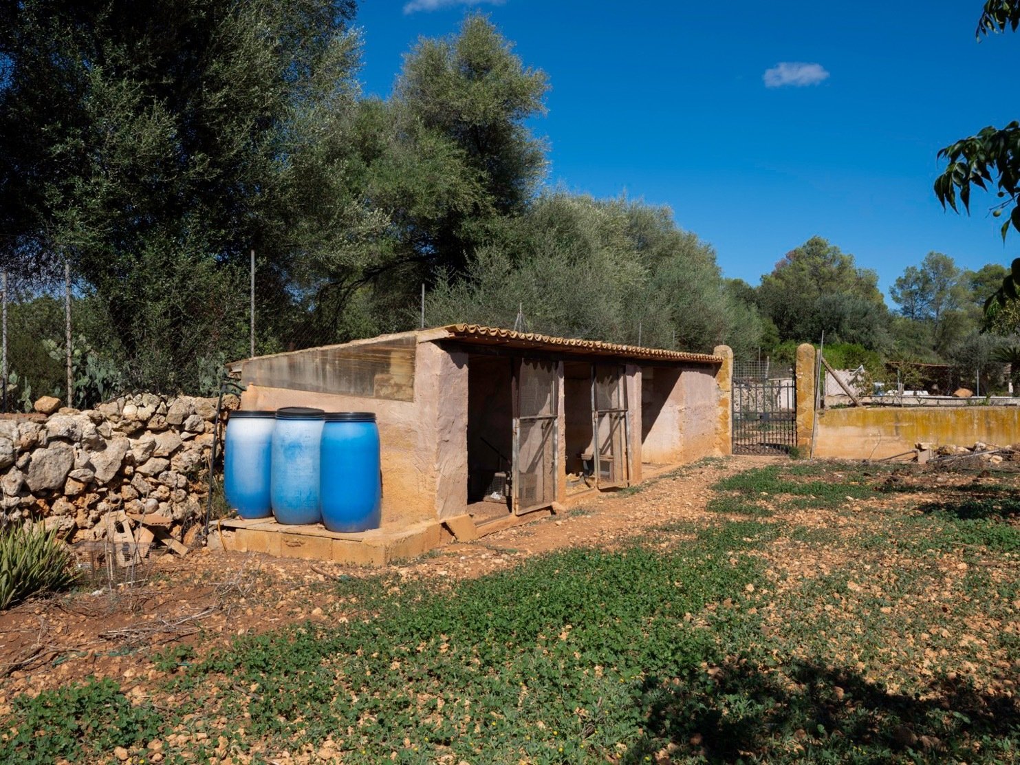 Exklusive nur bei uns! Charmante Traum-Finca mit Pool