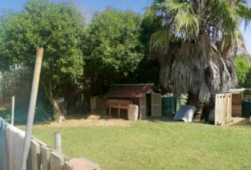 Günstige Mallorca-Finca in bester Lage bei Can Picafort und Muro