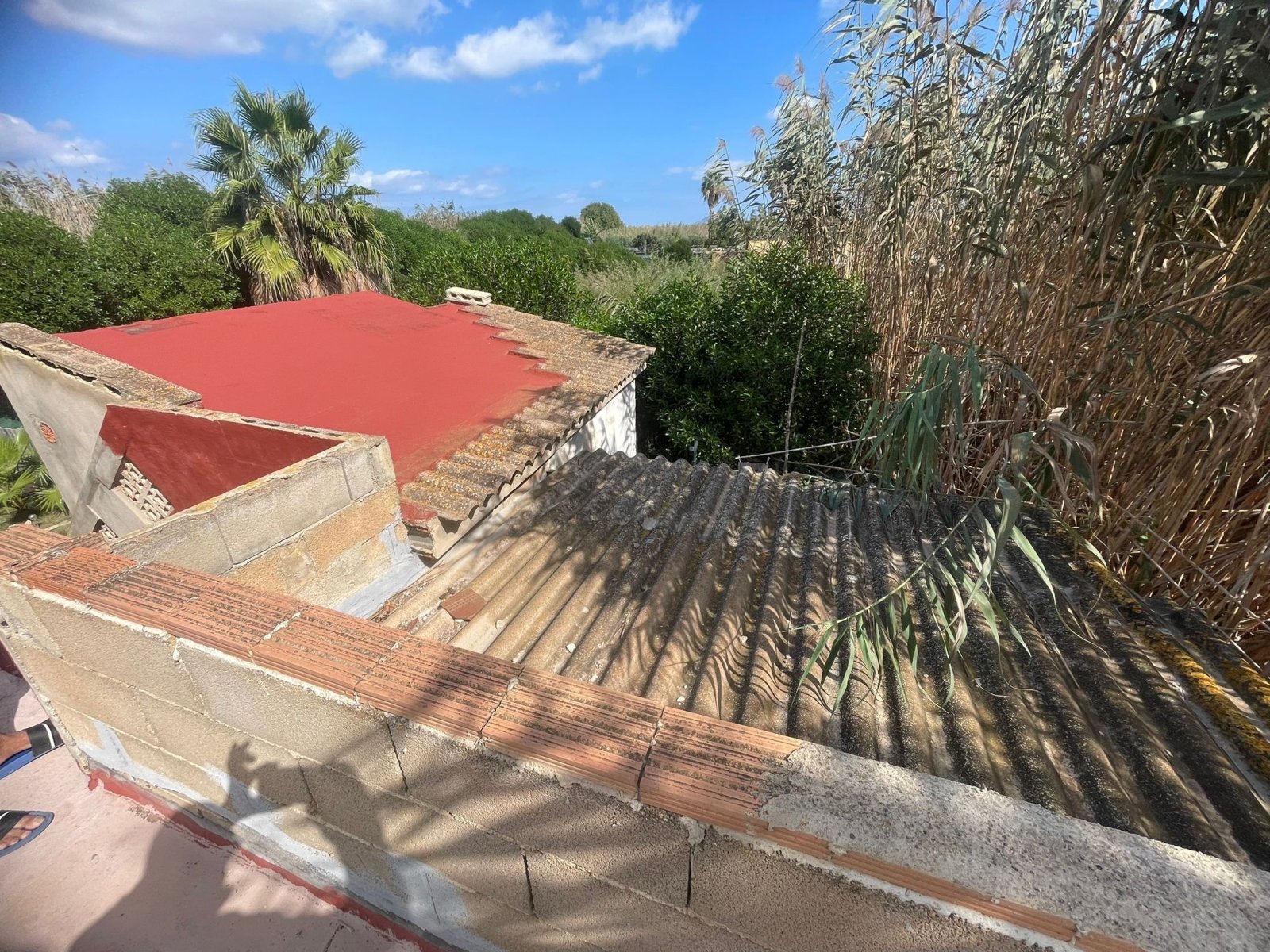 Günstige Mallorca-Finca in bester Lage bei Can Picafort und Muro