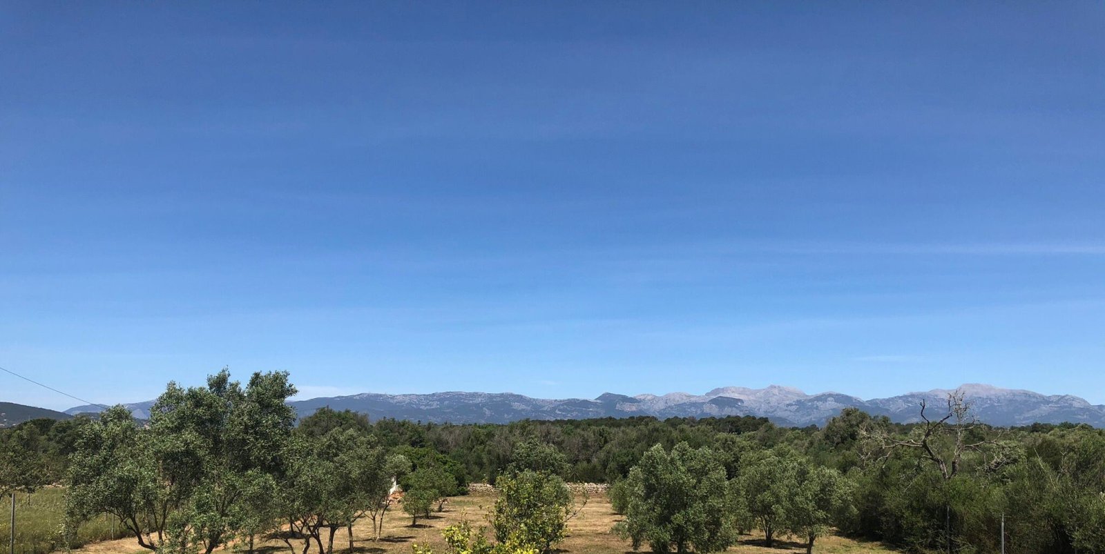 Rustikale Finca mit Pool, Weitblick und großem Obstgarten