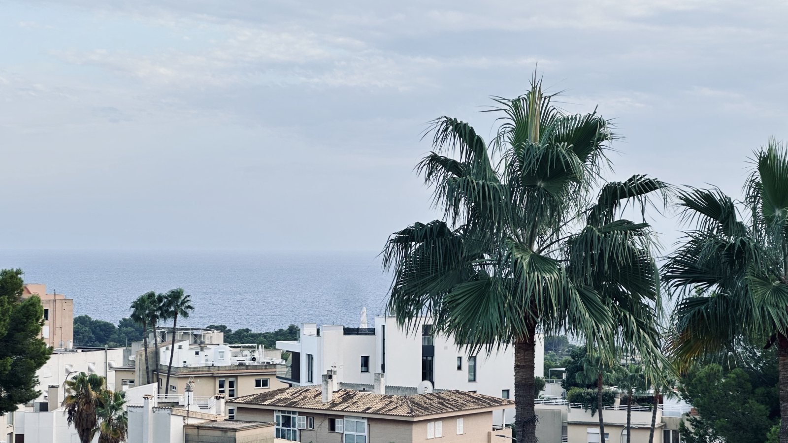 Wohnung mit Meerblick und privater Dachterrasse
