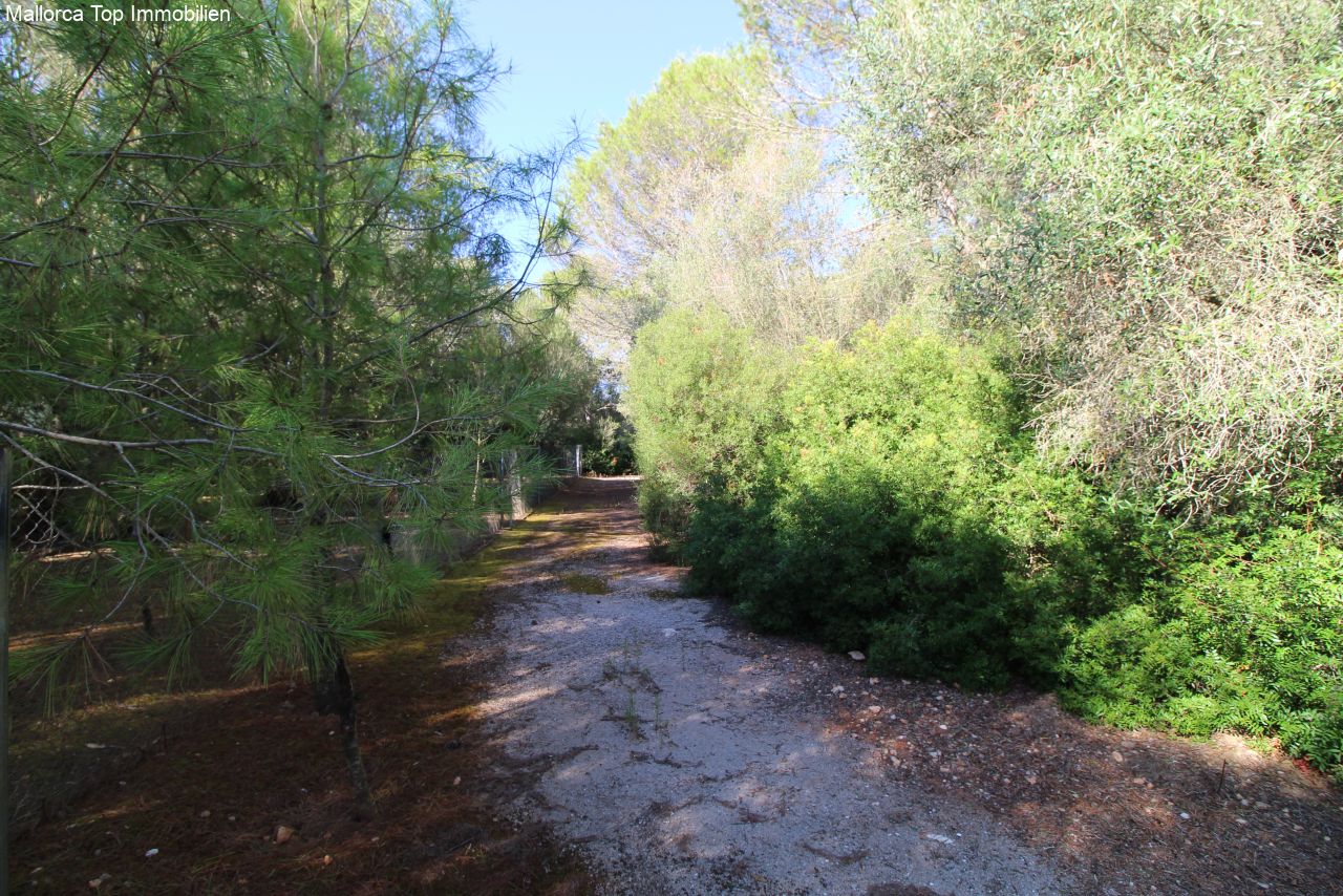 Exklusive Finca mit Gästehaus und Vermietlizenz