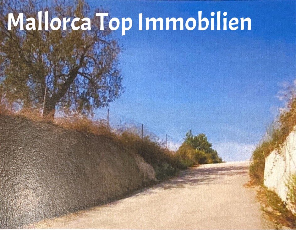 Baugrundstück im Herzen der Insel Mallorcas