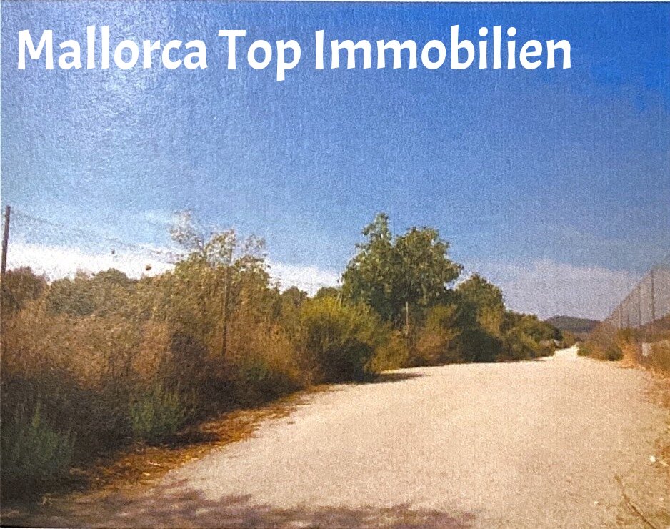 Baugrundstück im Herzen der Insel Mallorcas