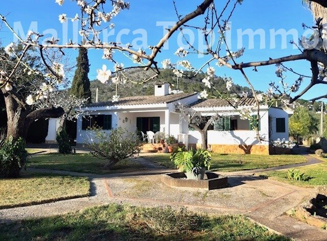 Bezauberndes Einfamilienhaus auf großem Grundstück  Bezauberndes Einfamilienhaus auf großem Grundstück