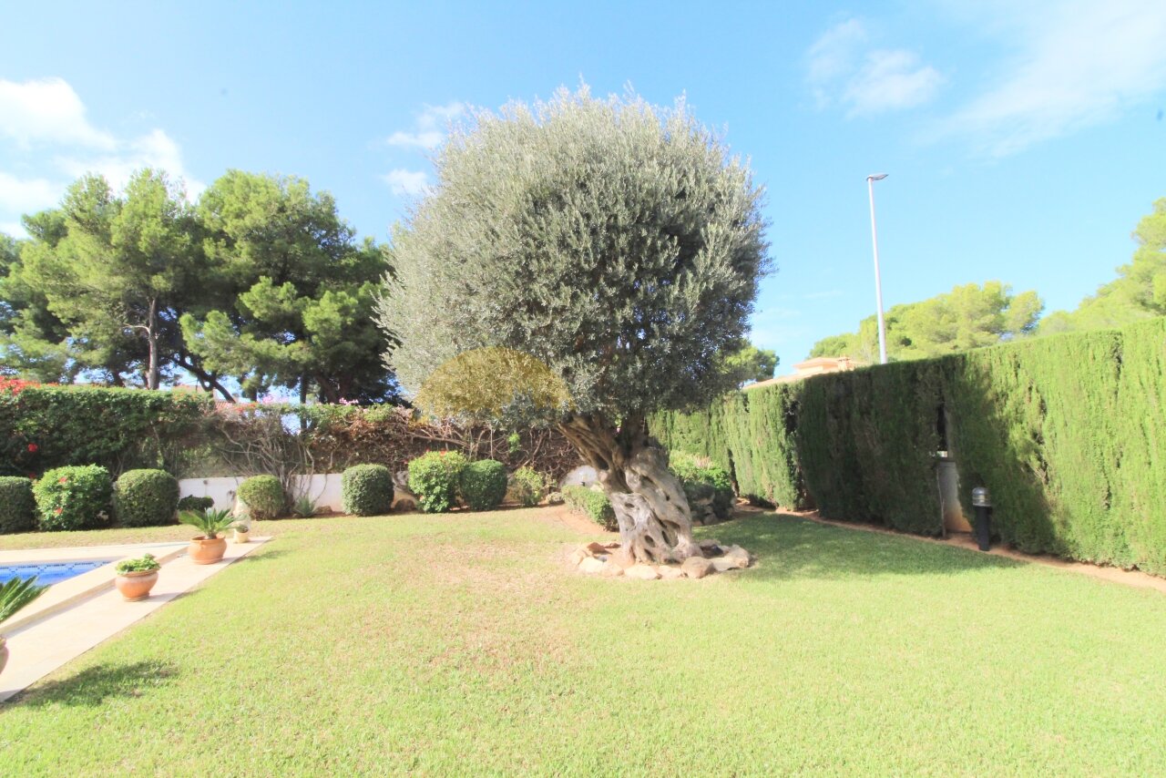 Exklusives Villenanwesen mit Pool und Garage in Maioris