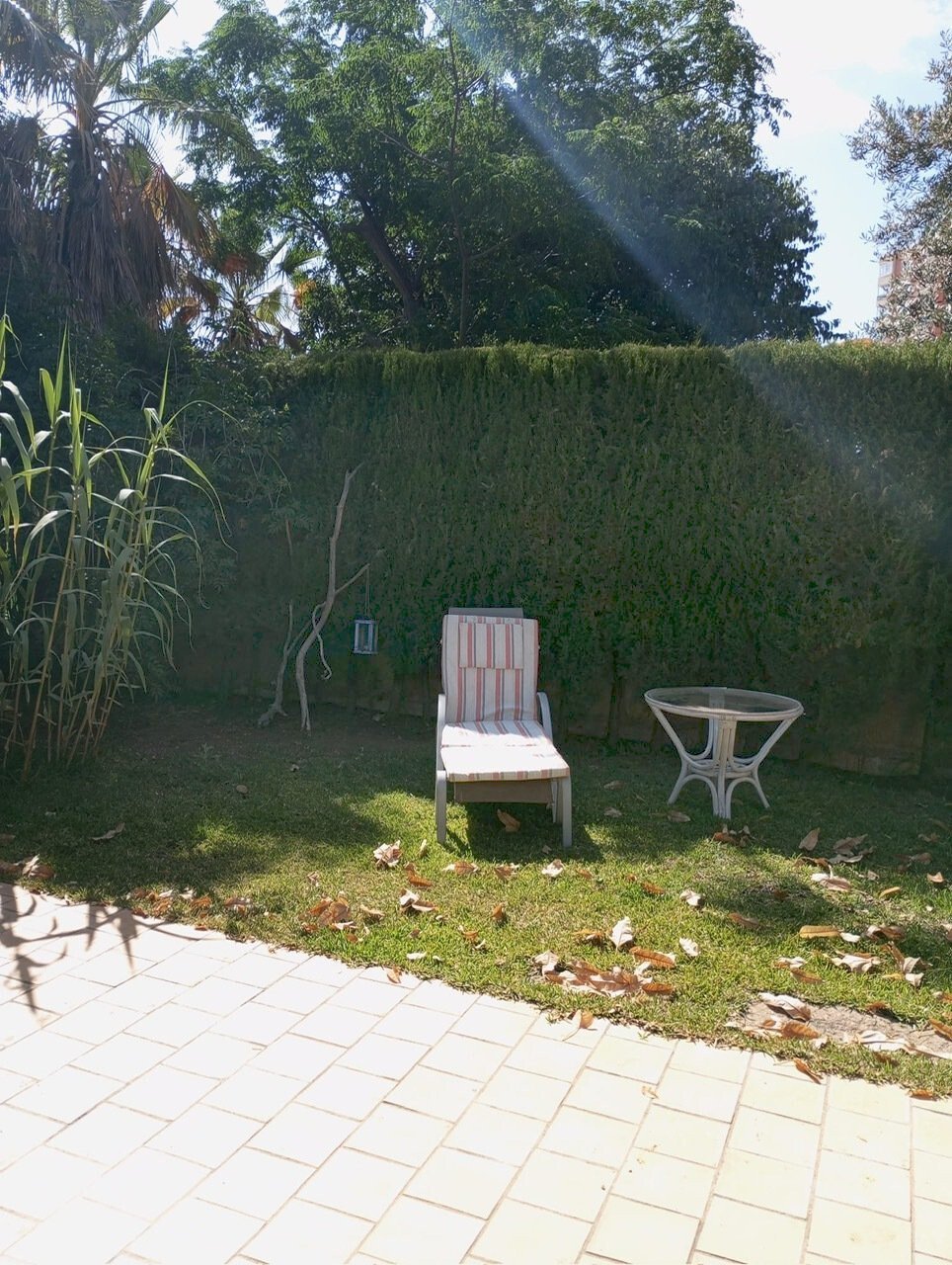 Schöne Doppelhaushälte mit mediterranem Garten