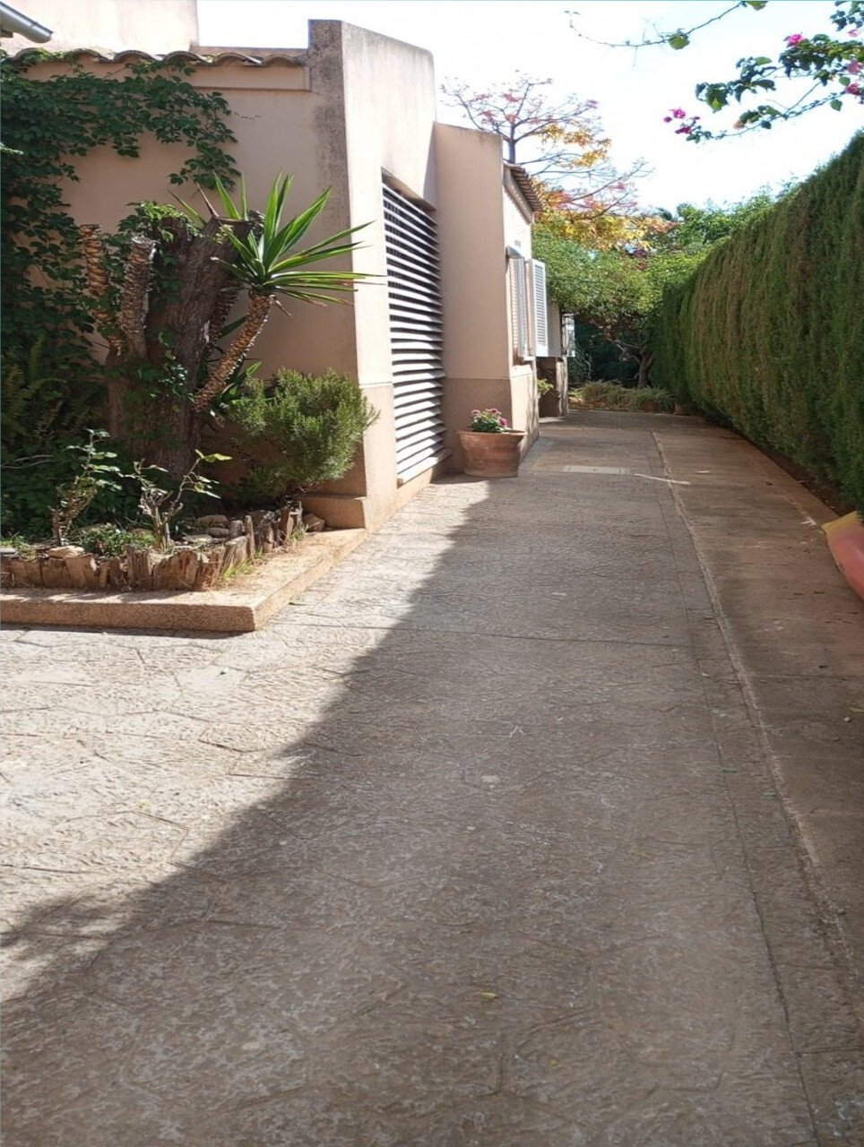 Schöne Doppelhaushälte mit mediterranem Garten