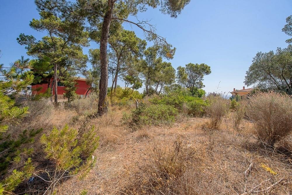 Exklusives Baugrundstück mit Meerblick in Cala Vinyes
