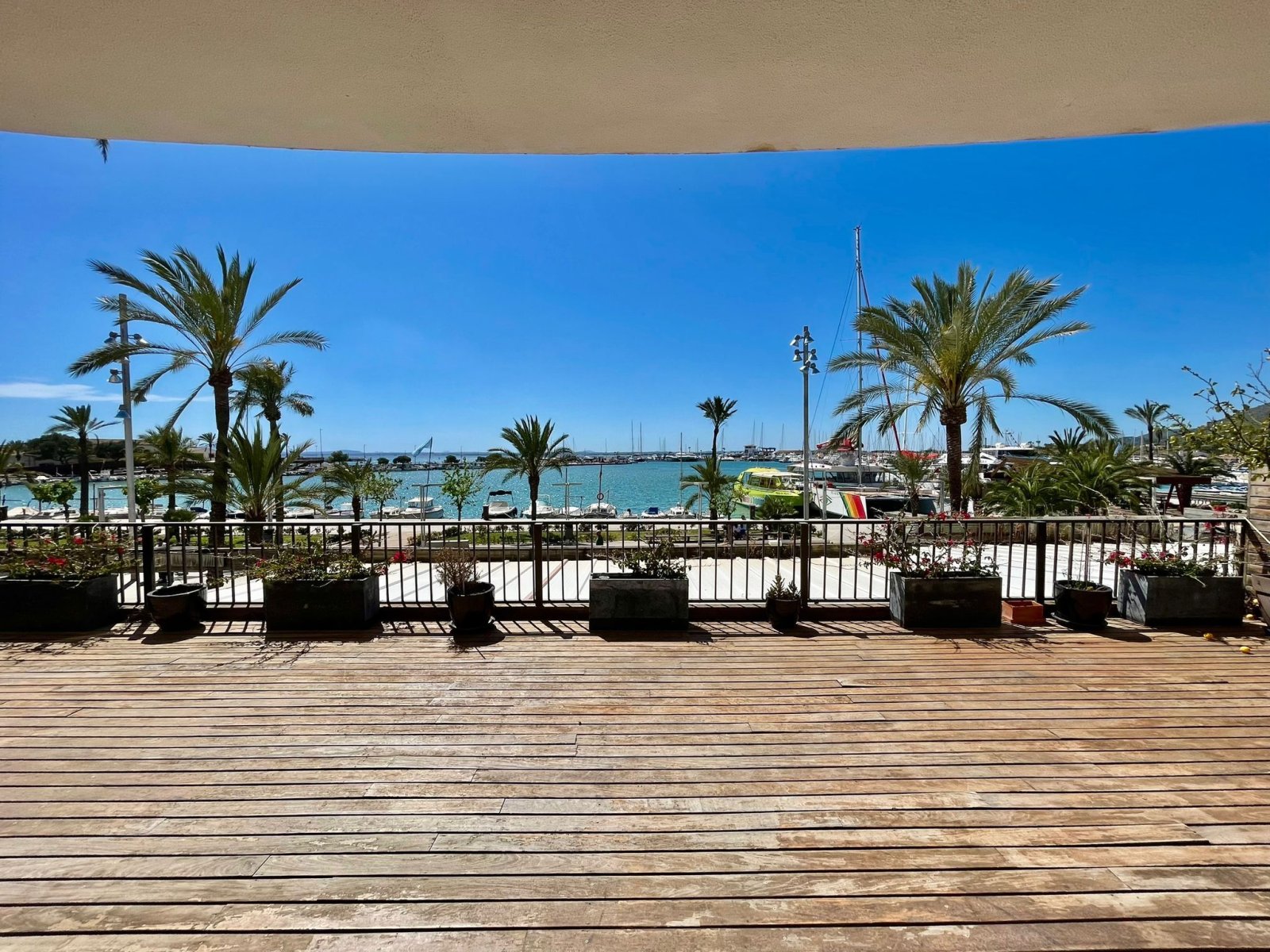 Spektakuläre Etagenwohnung mit Meerblick am Hafen von Alcudia 