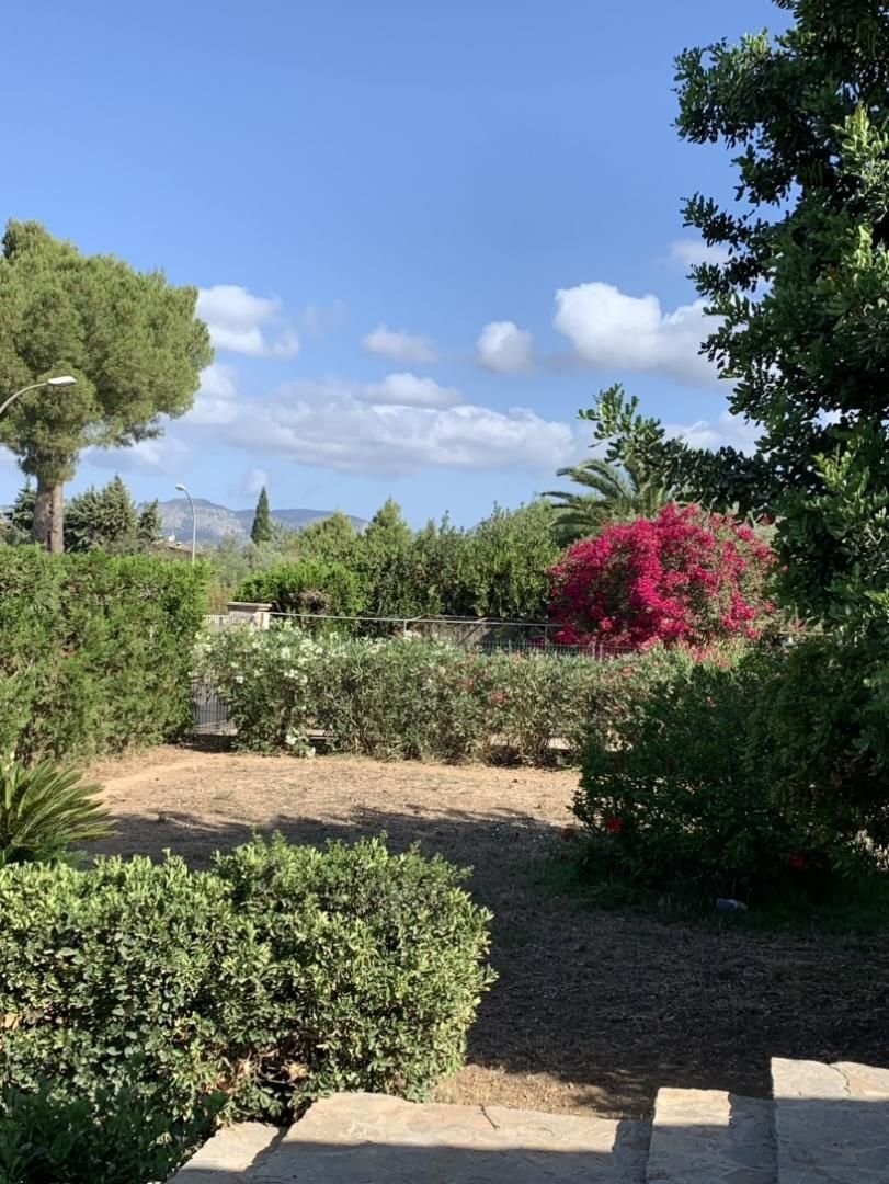 Verwunschener Garten mit mediterranem Flair und malerischem Bergblick Verwunschener Garten mit mediterranem Flair und malerischem Bergblick