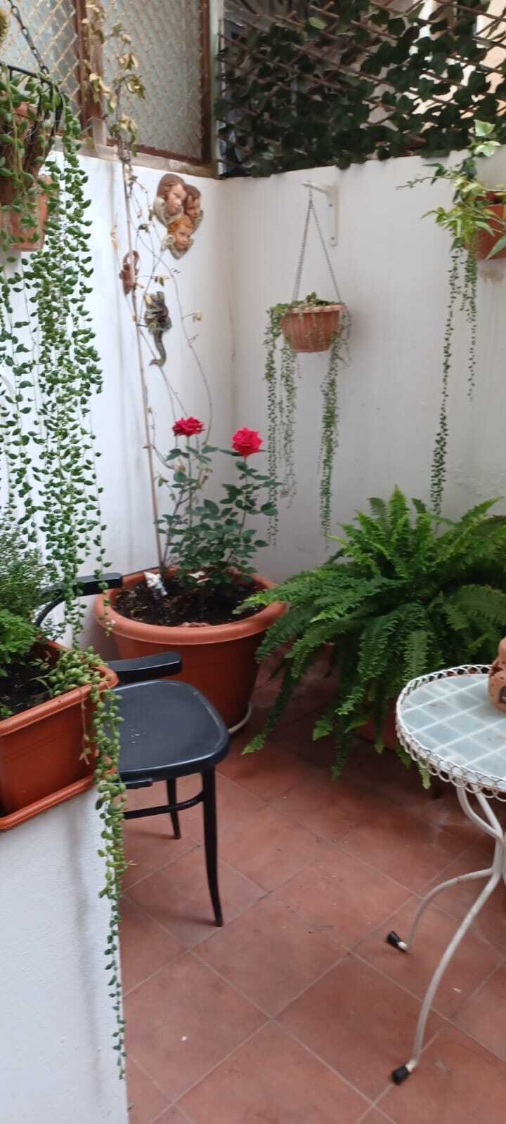 Terrasse Terrasse