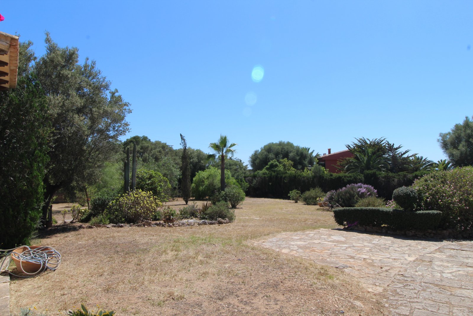 Garten Garten