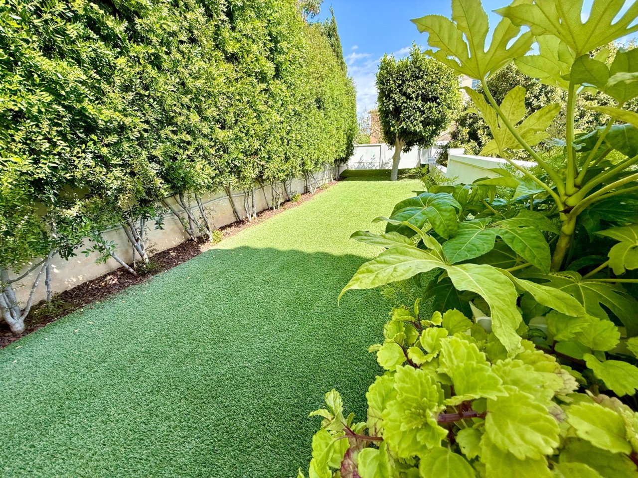 Garten Garten