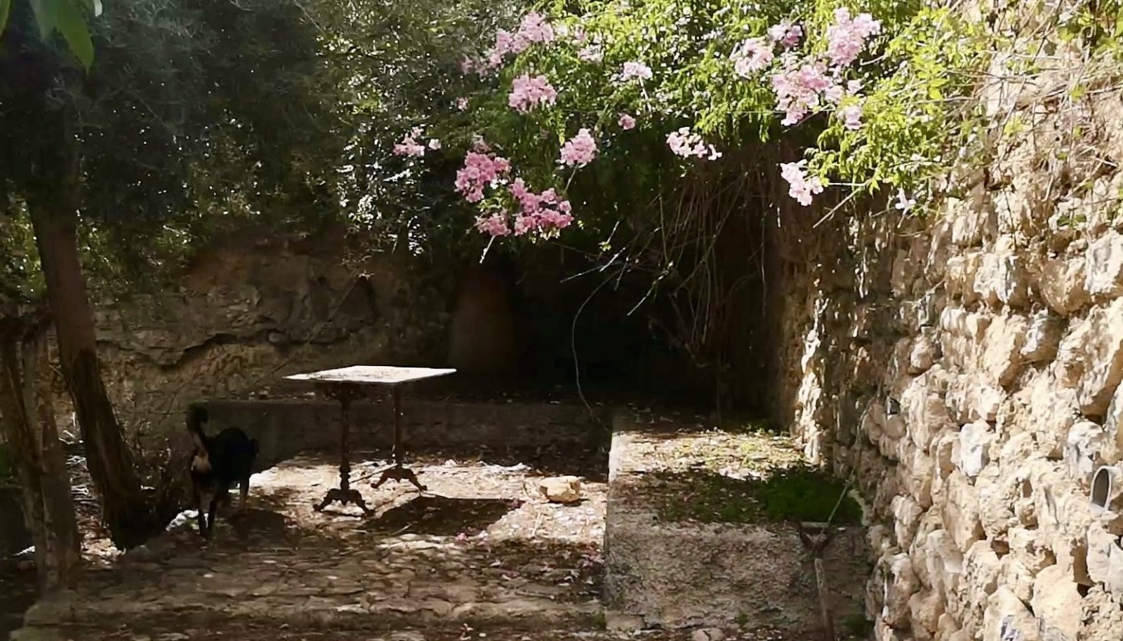 Verwunschener Innenhof mit romantischem Begrünungsdach und authentischen Steinmauern Verwunschener Innenhof mit romantischem Begrünungsdach und authentischen Steinmauern