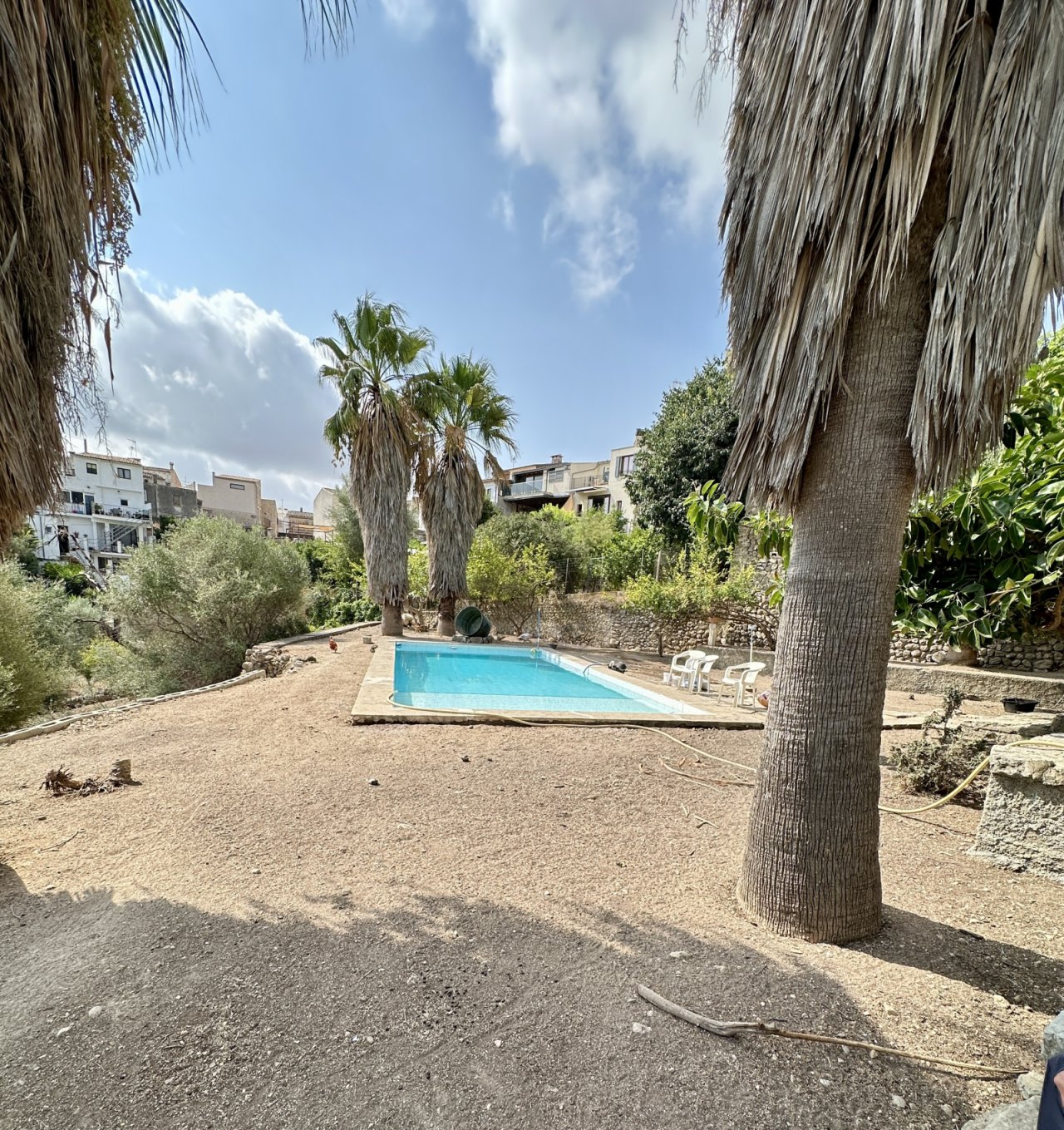 Poolbereich mit mediterranem Flair und schattenspendenden Palmen Poolbereich mit mediterranem Flair und schattenspendenden Palmen