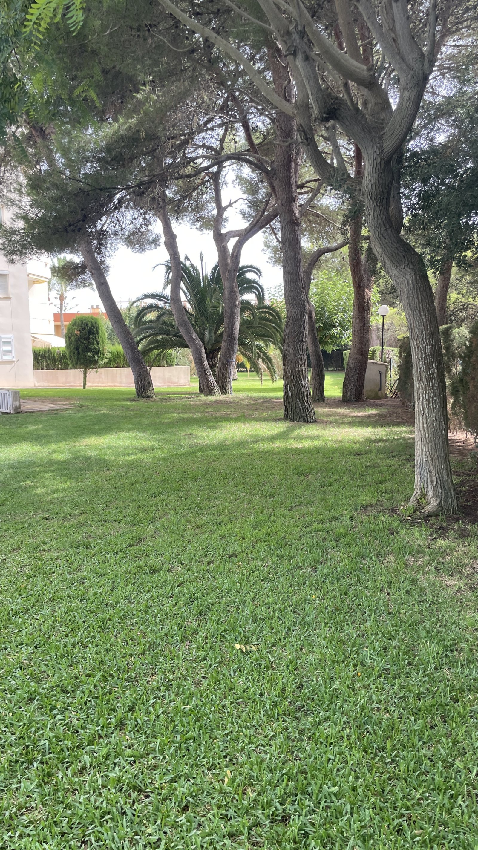 Park Park