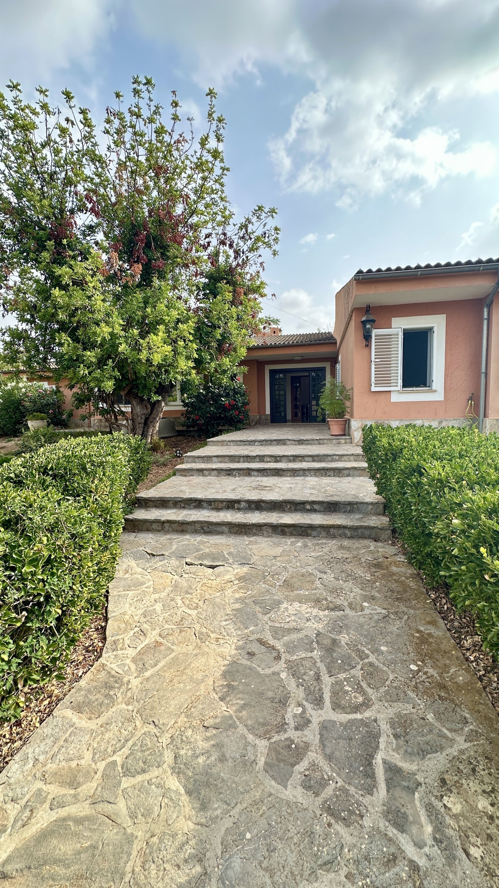 Garten Garten