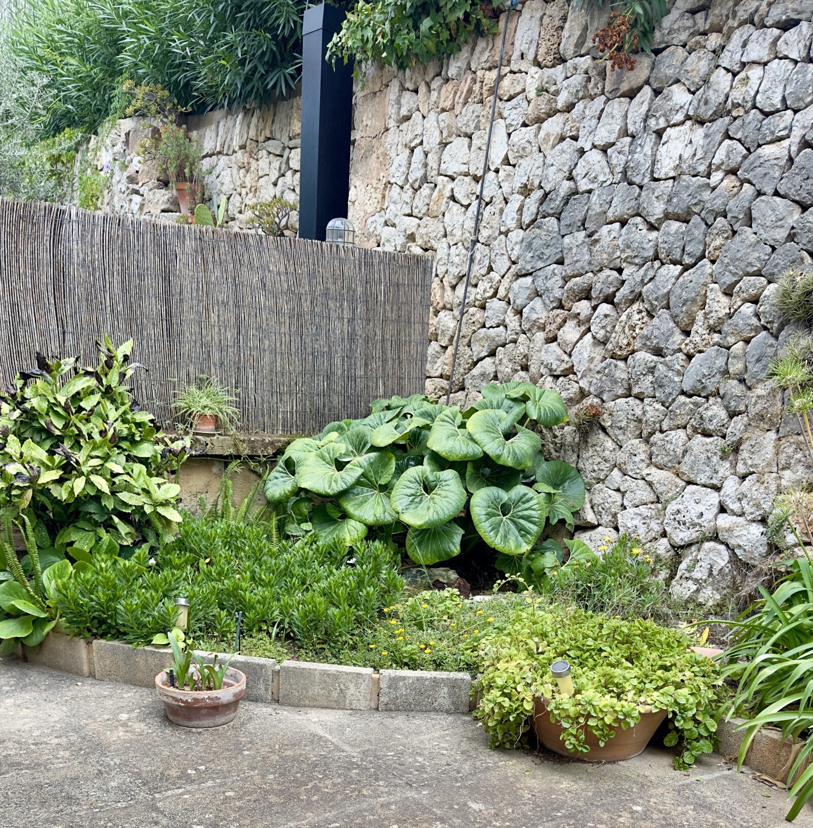Garten Garten