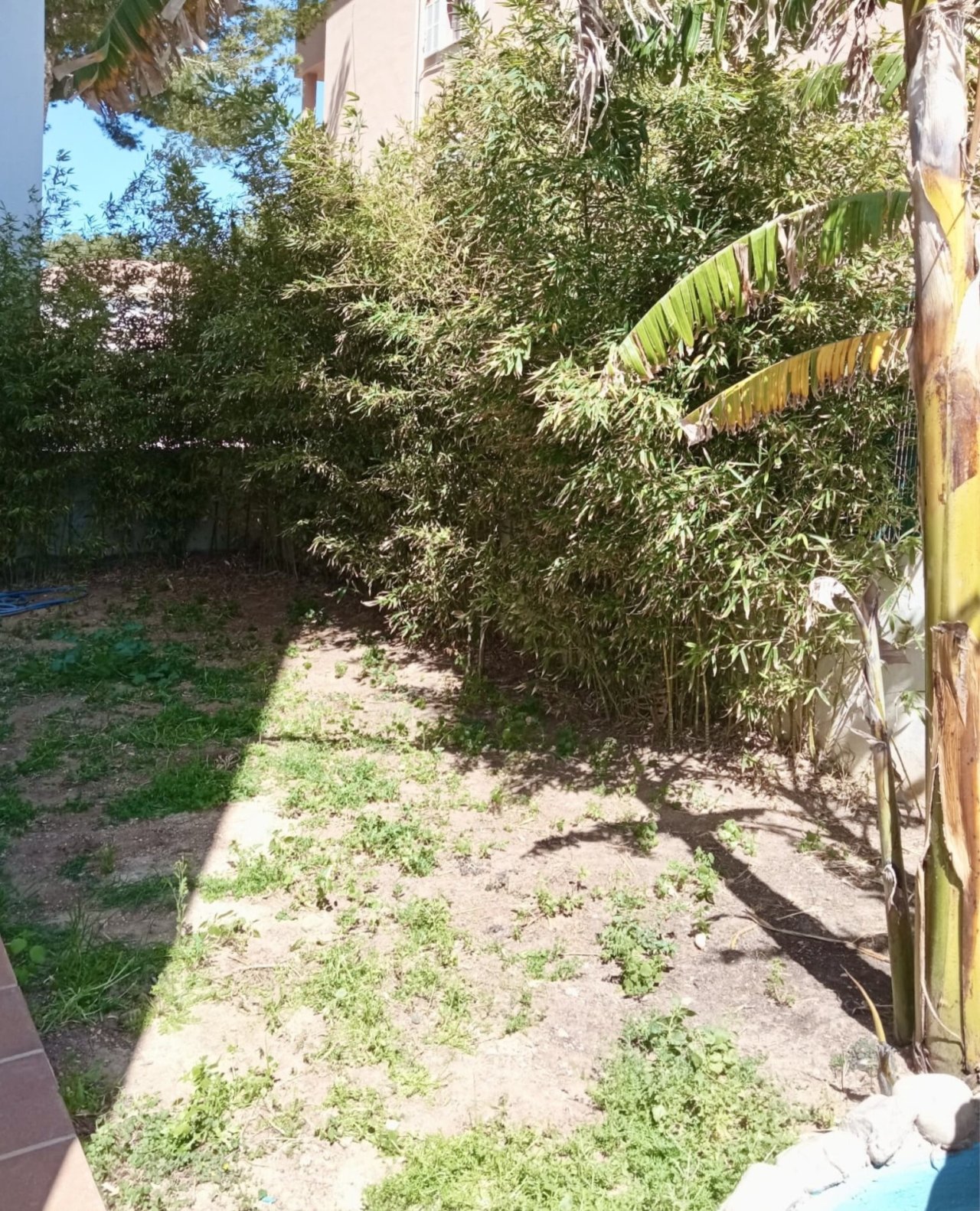 Garten Garten