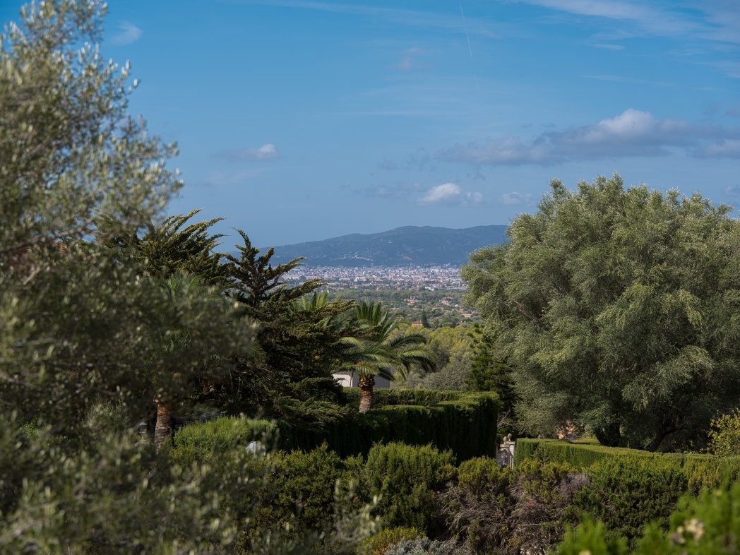 Panoramablick vom privaten Grundstück – Weitläufige Parklandschaft mit mediterranem Baumbestand