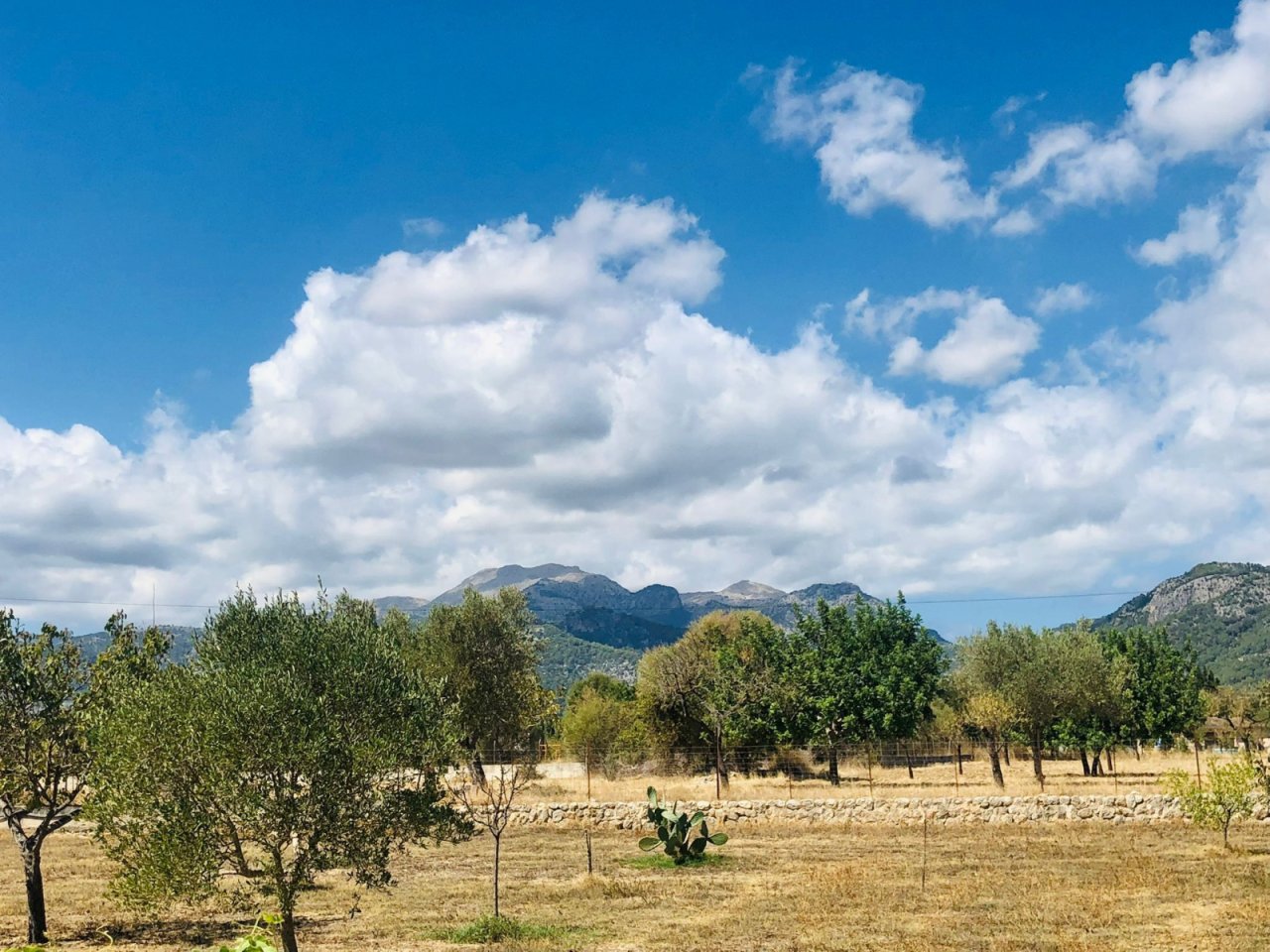 Weitläufiges Landgut mit eigenem Olivenhain und unverbaubarem Bergpanorama Weitläufiges Landgut mit eigenem Olivenhain und unverbaubarem Bergpanorama