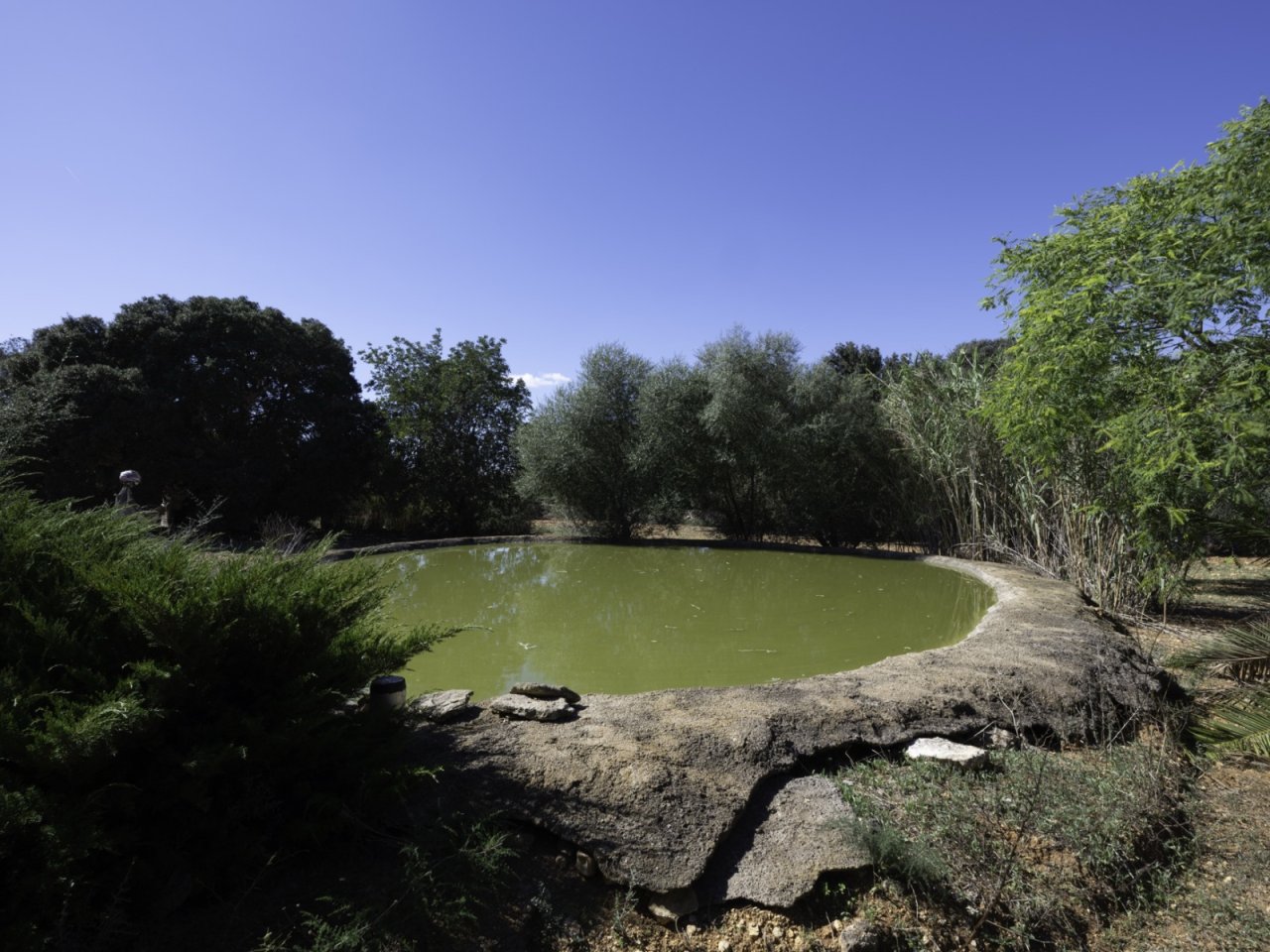 Teich
