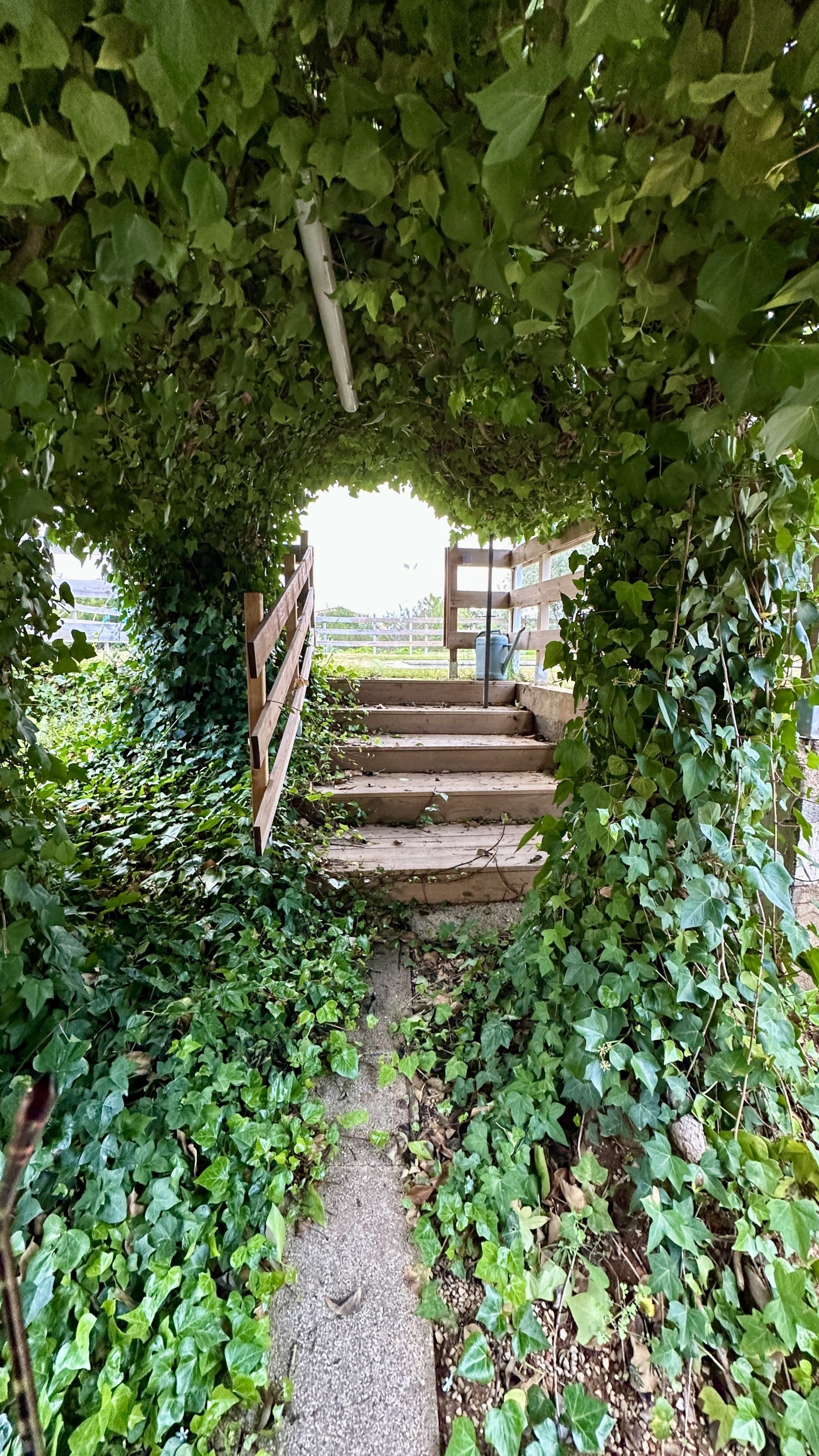 Garten Garten