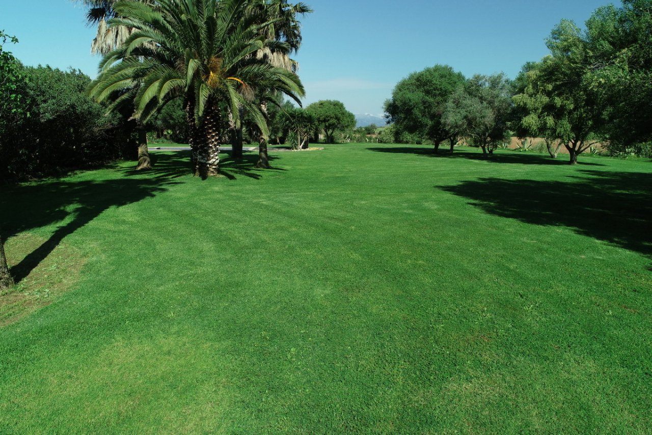 Parklandschaft mit altem Baumbestand und weiträumiger Grünfläche
