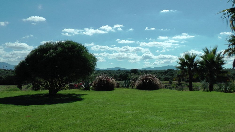 Parklandschaft mit altem Baumbestand und freiem Bergblick