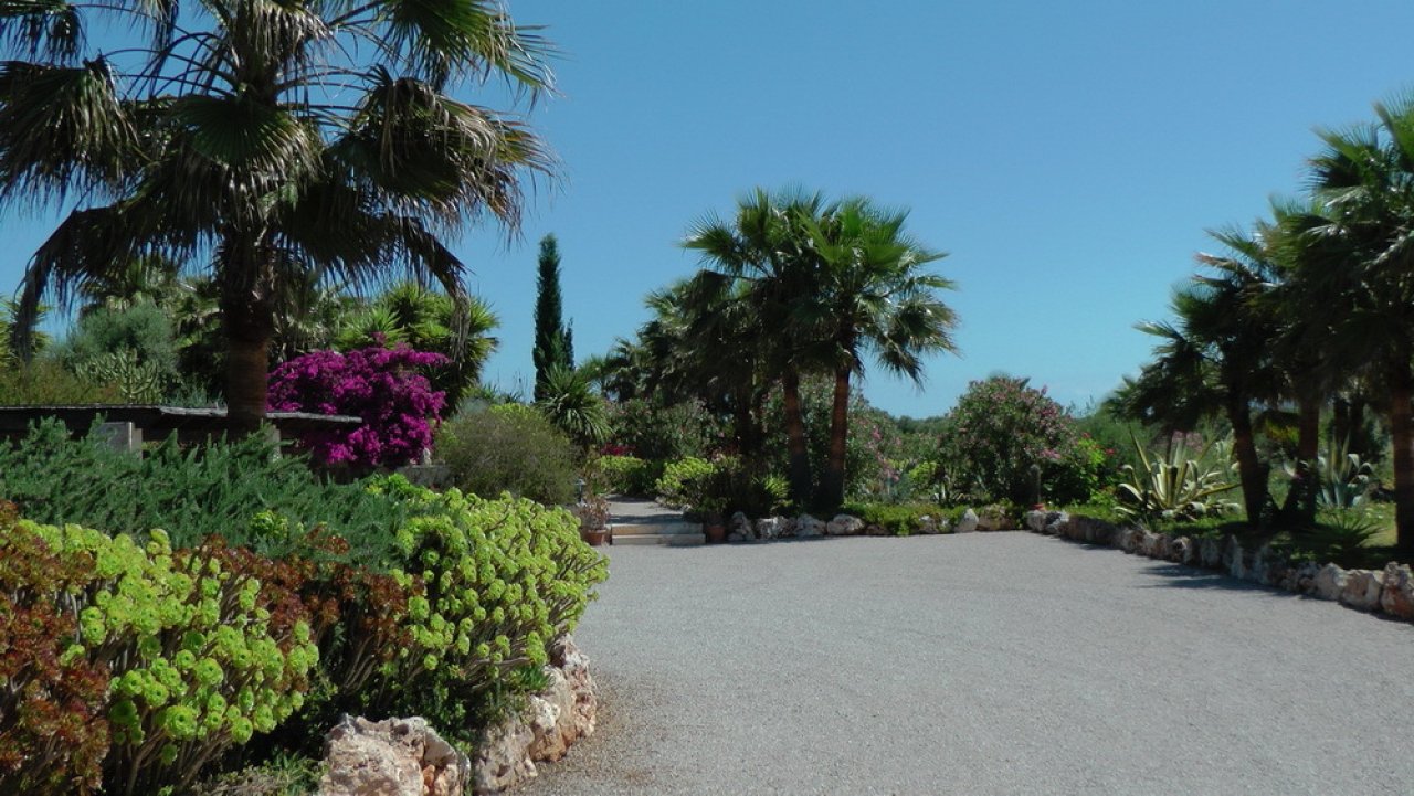 Parkähnliches Grundstück mit mediterraner Bepflanzung und großzügigen Wegeflächen