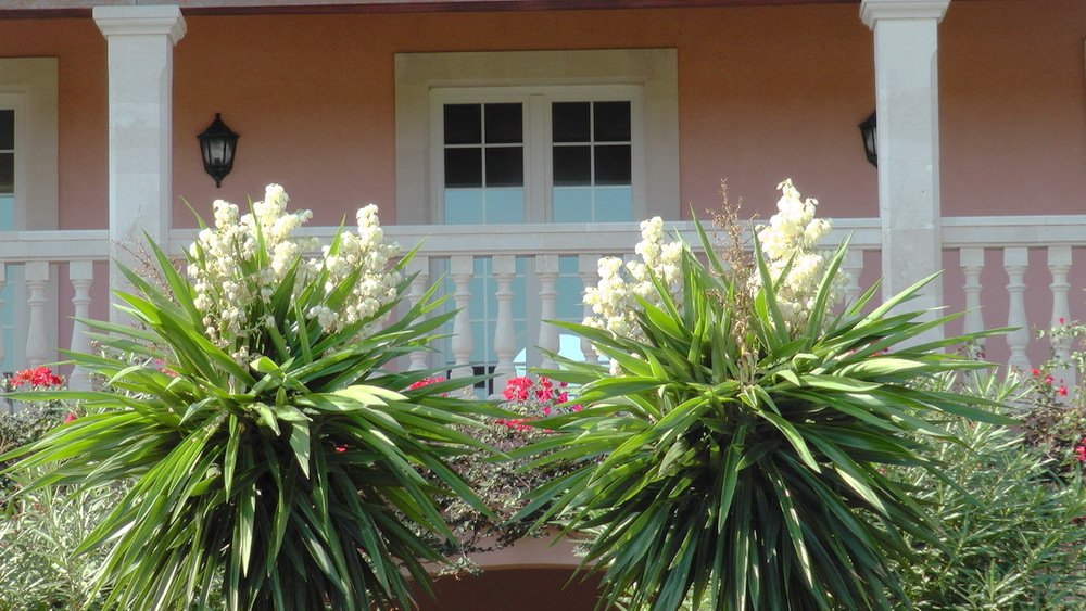 Klassische Veranda mit eleganten Säulen und großflächigen Fensterfront