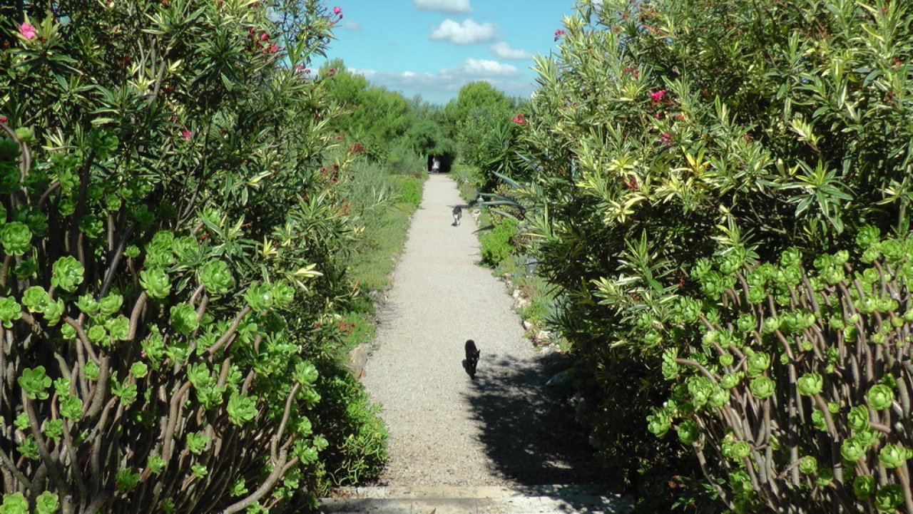 Idyllische Gartenallee mit mediterraner Vegetation und gepflegtem Wegesystem