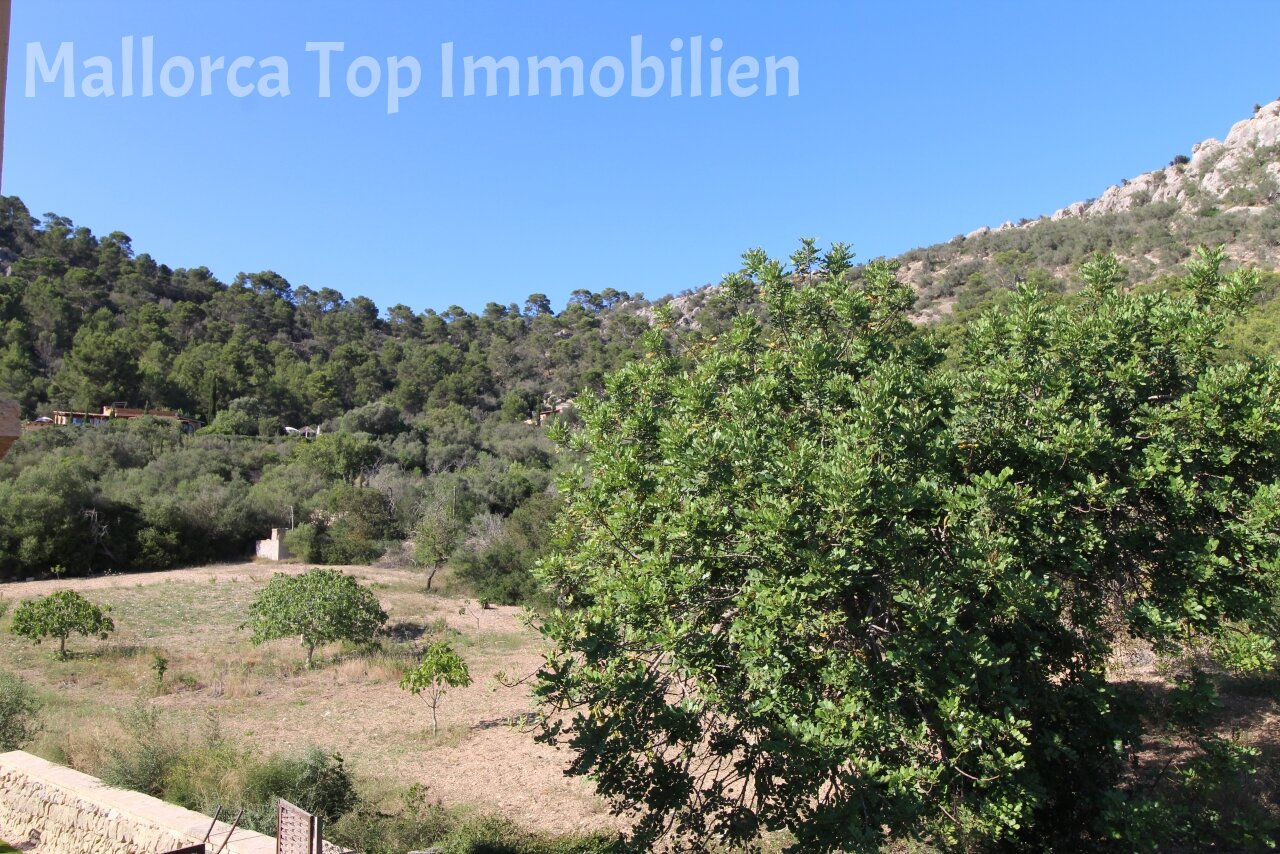 Naturbelassenes Grundstück mit authentischem mediterranem Charakter und herrlichem Bergpanorama Naturbelassenes Grundstück mit authentischem mediterranem Charakter und herrlichem Bergpanorama