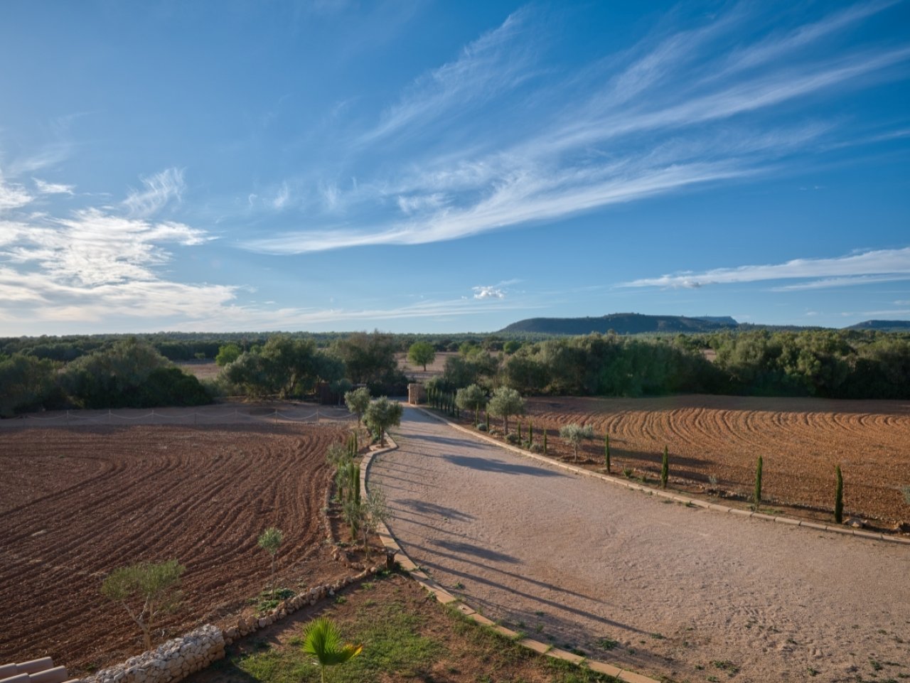 Malerische Zufahrt mit Zypressenallee und Blick auf die weitläufigen Ländereien