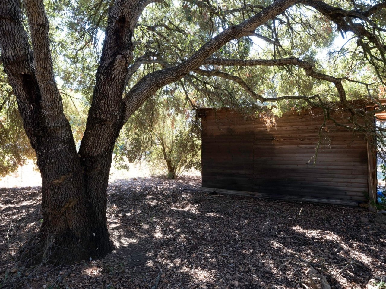 Rustikales Gartenhaus unter schattigen Bäumen mit massiver Holzkonstruktion Rustikales Gartenhaus unter schattigen Bäumen mit massiver Holzkonstruktion