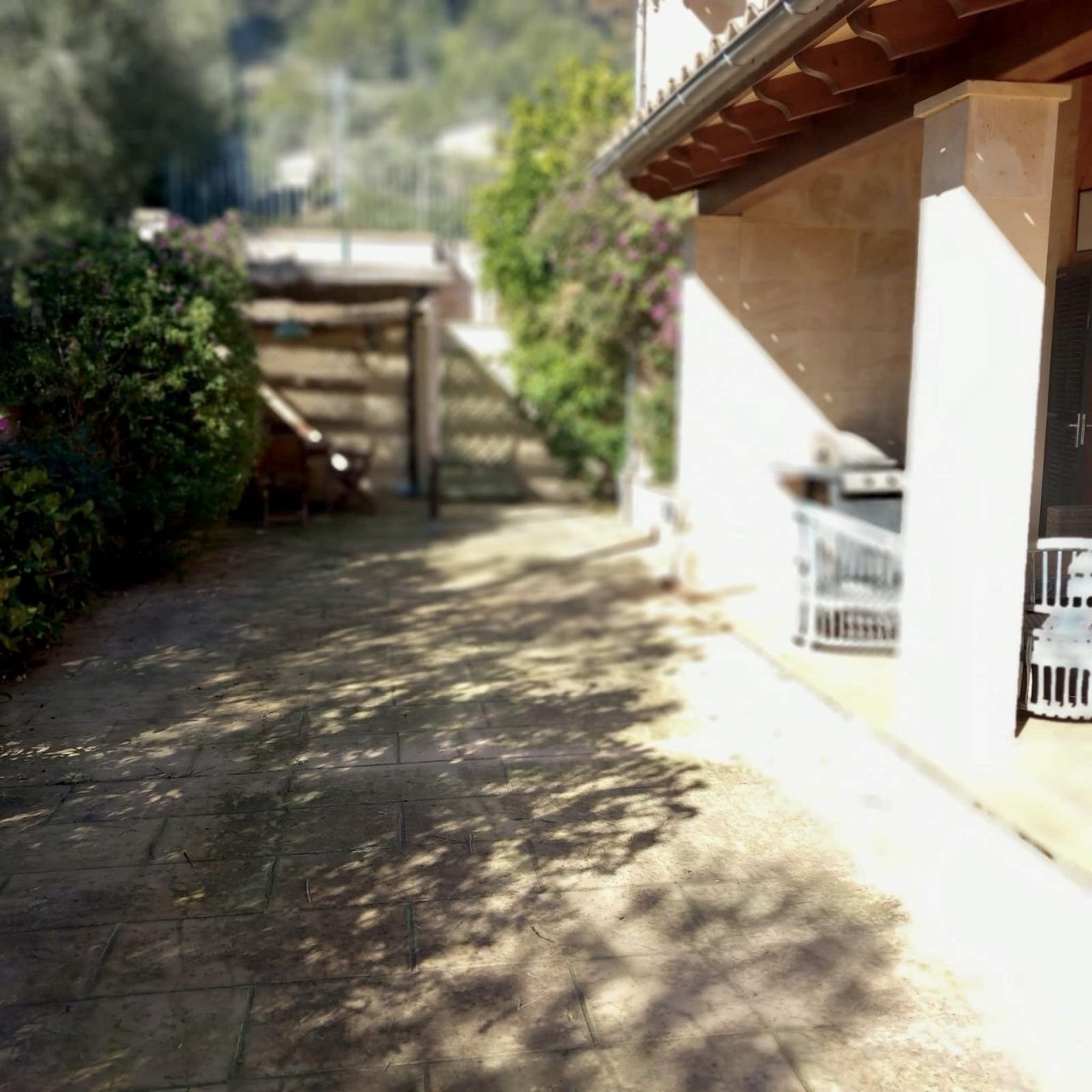 Gepflasterter Innenhof mit überdachtem Zugang und harmonischer Gartenintegration