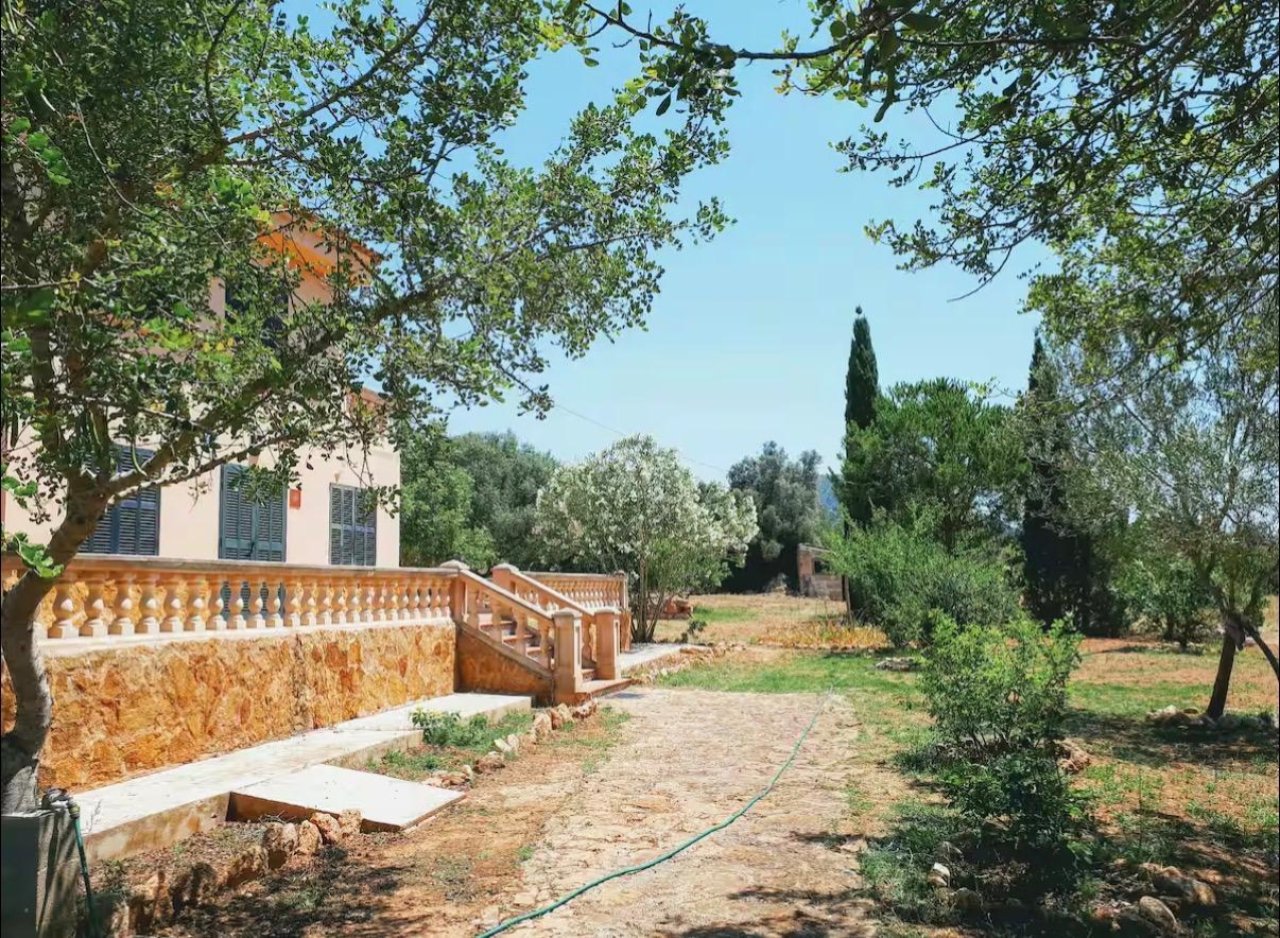 Naturbelassenes Grundstück mit etabliertem Baumbestand und direktem Zugang zur Villa Naturbelassenes Grundstück mit etabliertem Baumbestand und direktem Zugang zur Villa