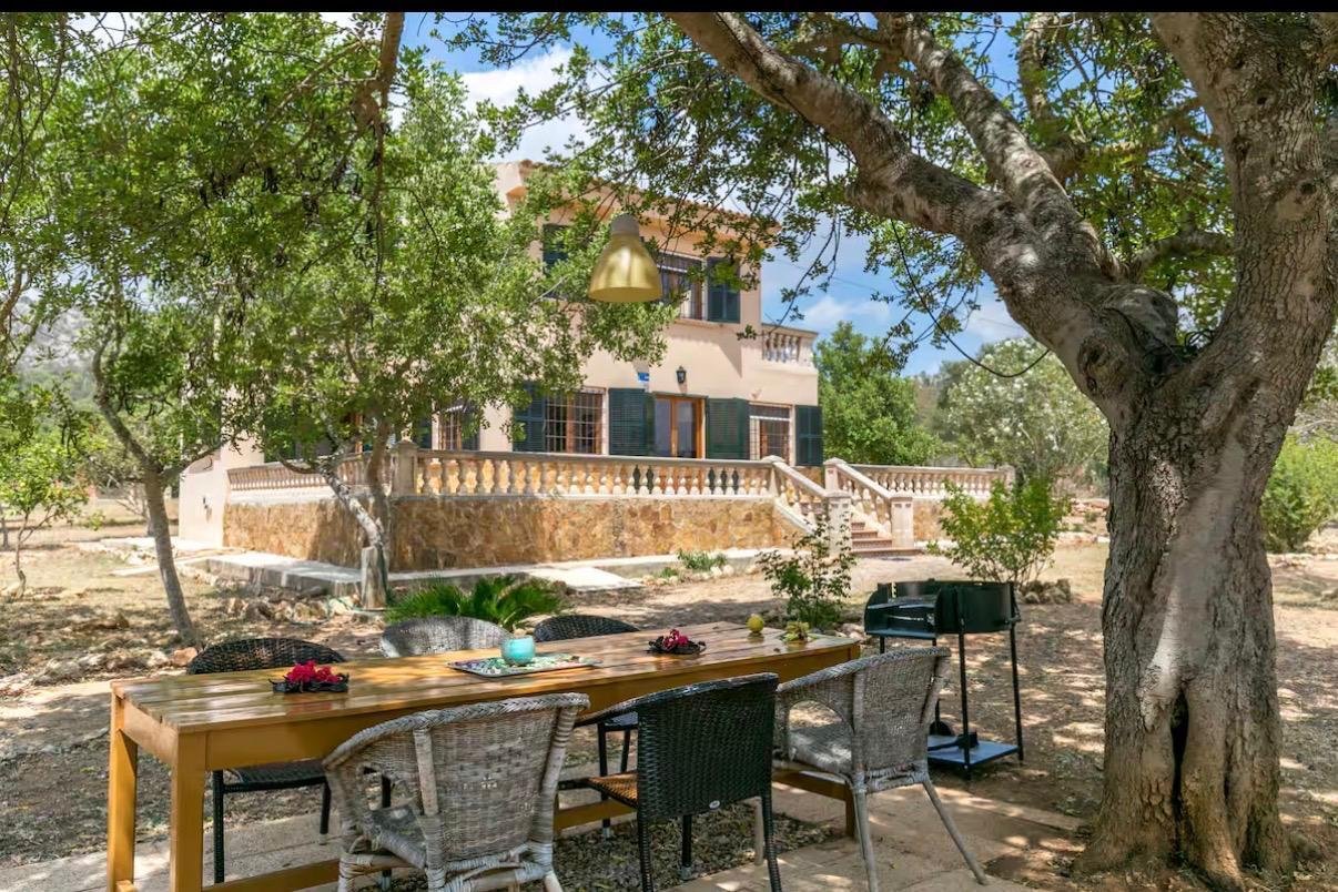 Schattenspendender Außenbereich unter altem Baumbestand – Naturnahe Entspannungszone mit Blick auf die Villa Schattenspendender Außenbereich unter altem Baumbestand – Naturnahe Entspannungszone mit Blick auf die Villa