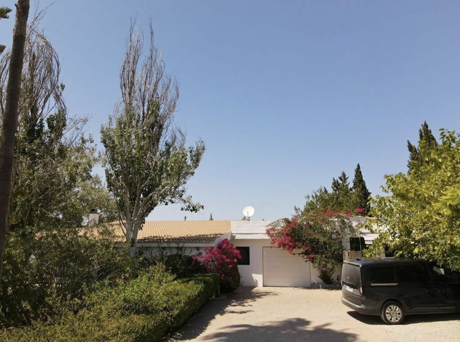 Gepflegte Zufahrt mit natürlichem Baumbestand und überdachtem Carport-Bereich Gepflegte Zufahrt mit natürlichem Baumbestand und überdachtem Carport-Bereich