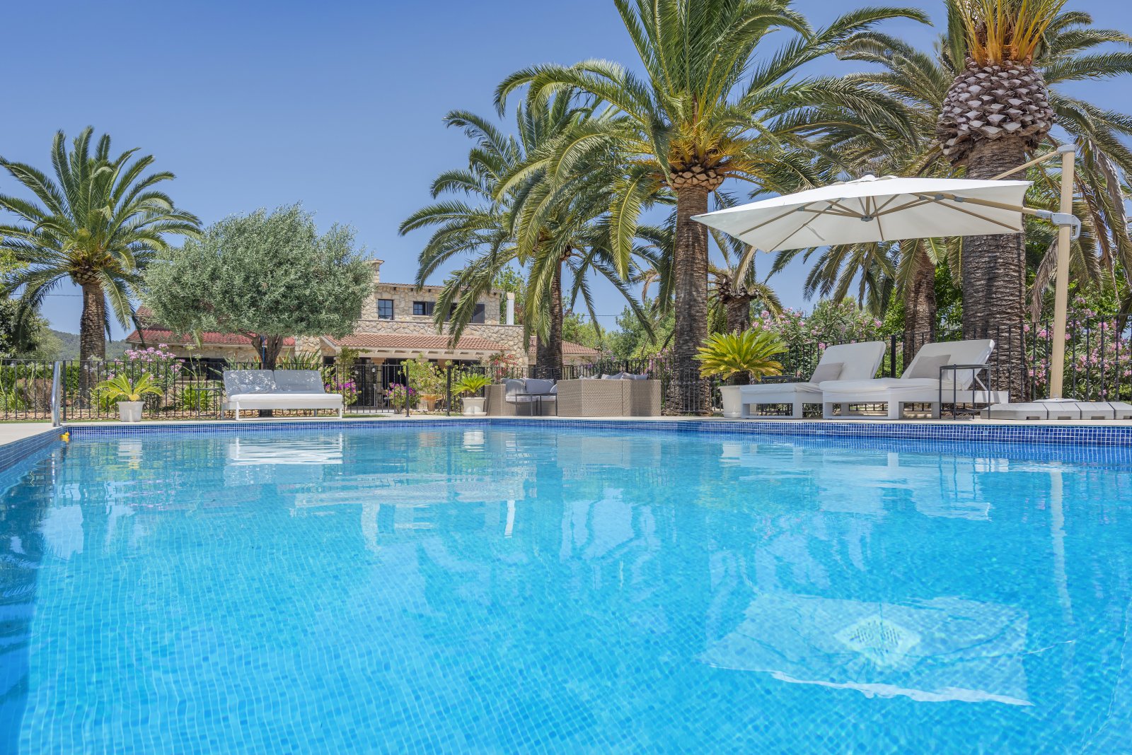 Poolanlage mit mediterranem Flair – Entspannungsbereich unter Palmen mit professionellem Sonnenschutzsystem Poolanlage mit mediterranem Flair – Entspannungsbereich unter Palmen mit professionellem Sonnenschutzsystem